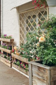 A trellis surrounded by flowers in wooden planters front yard