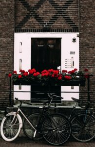 Bicycles and red flowers near entrance of building