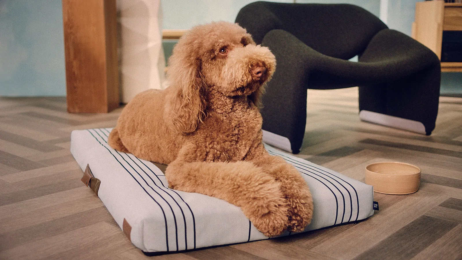 dog bed, John legend and Etsy designer collaboration