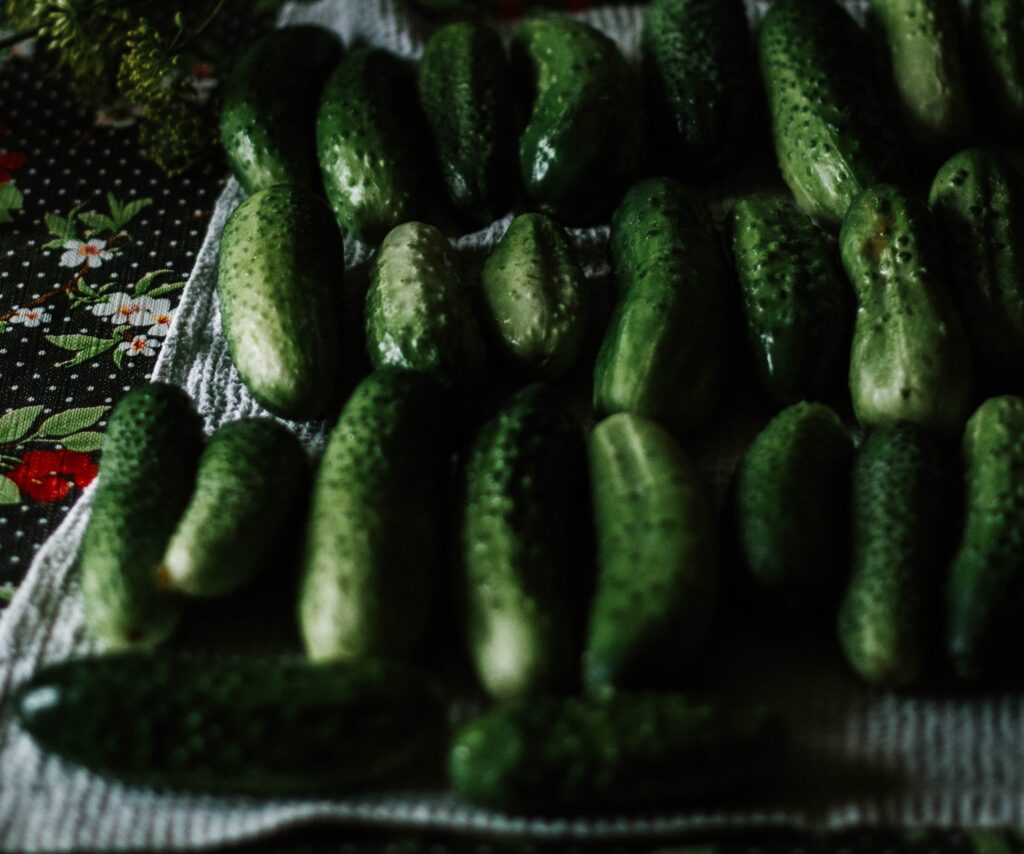 A close-up of cucumbers