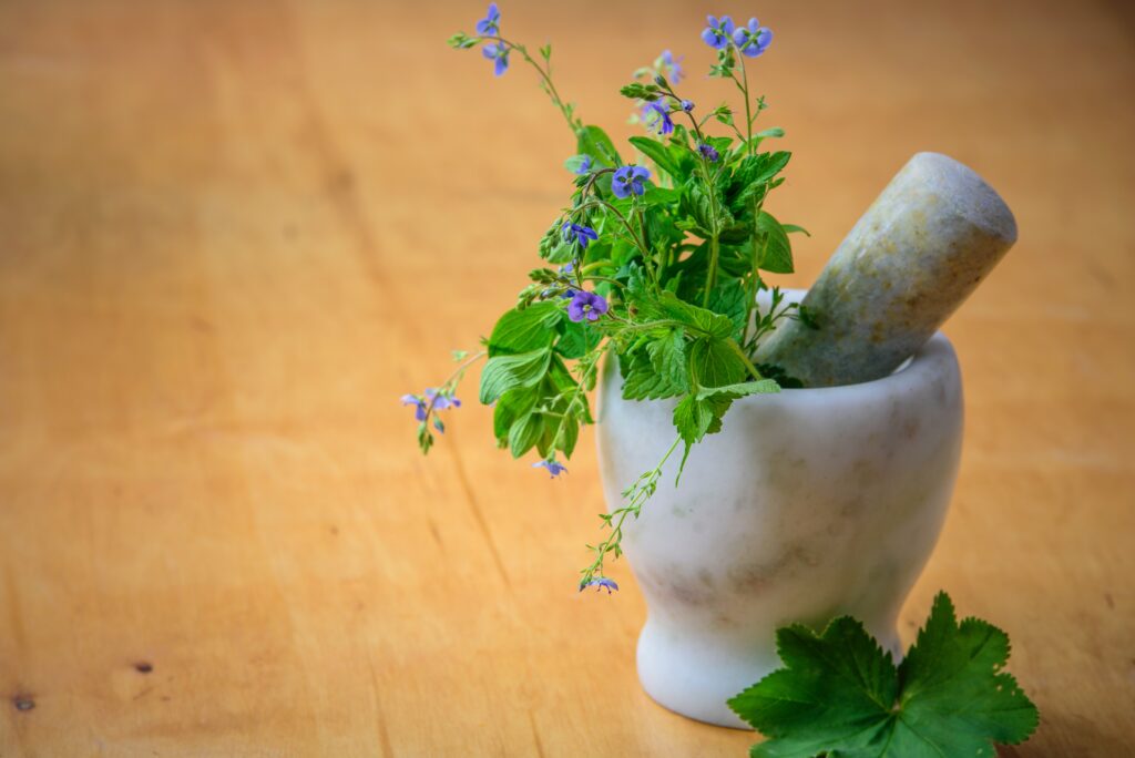 herbs in pestal and mortar