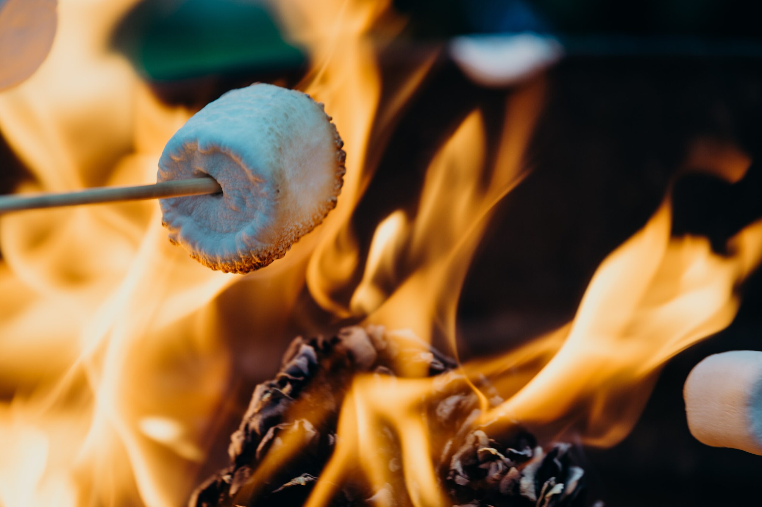 roasting marshmallows, fireplace