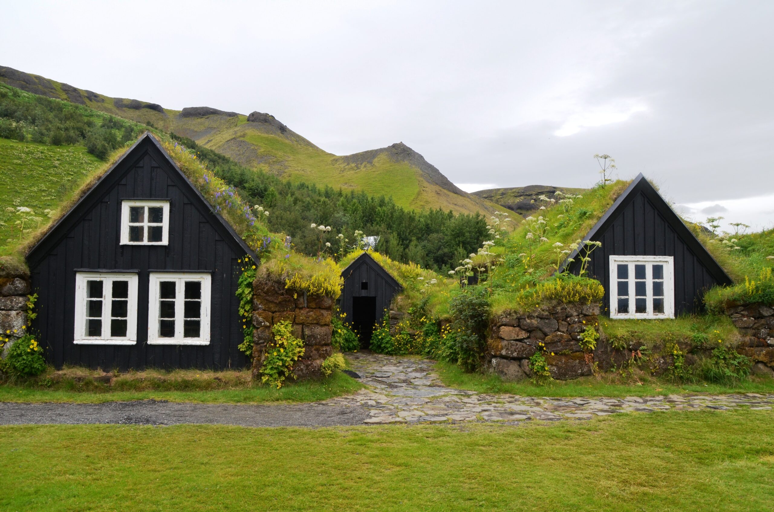 Tiny homes next to eachother with grass roofs