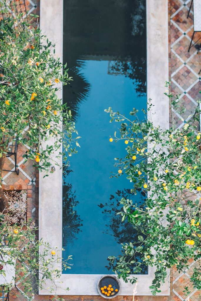 A long rectangular pool with lemon trees surrounding it