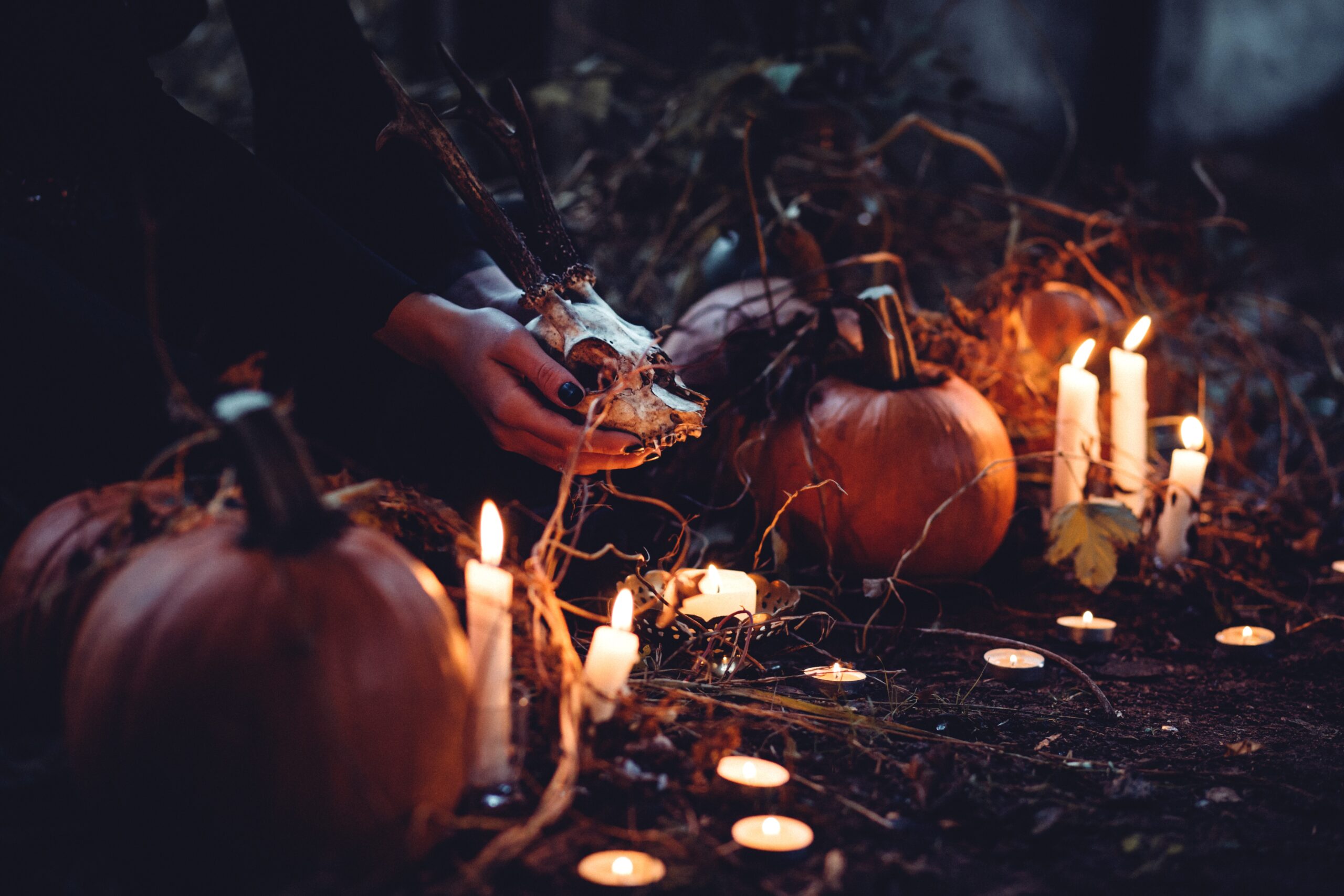 A person placing a fake animal skull on a Halloween tablescape