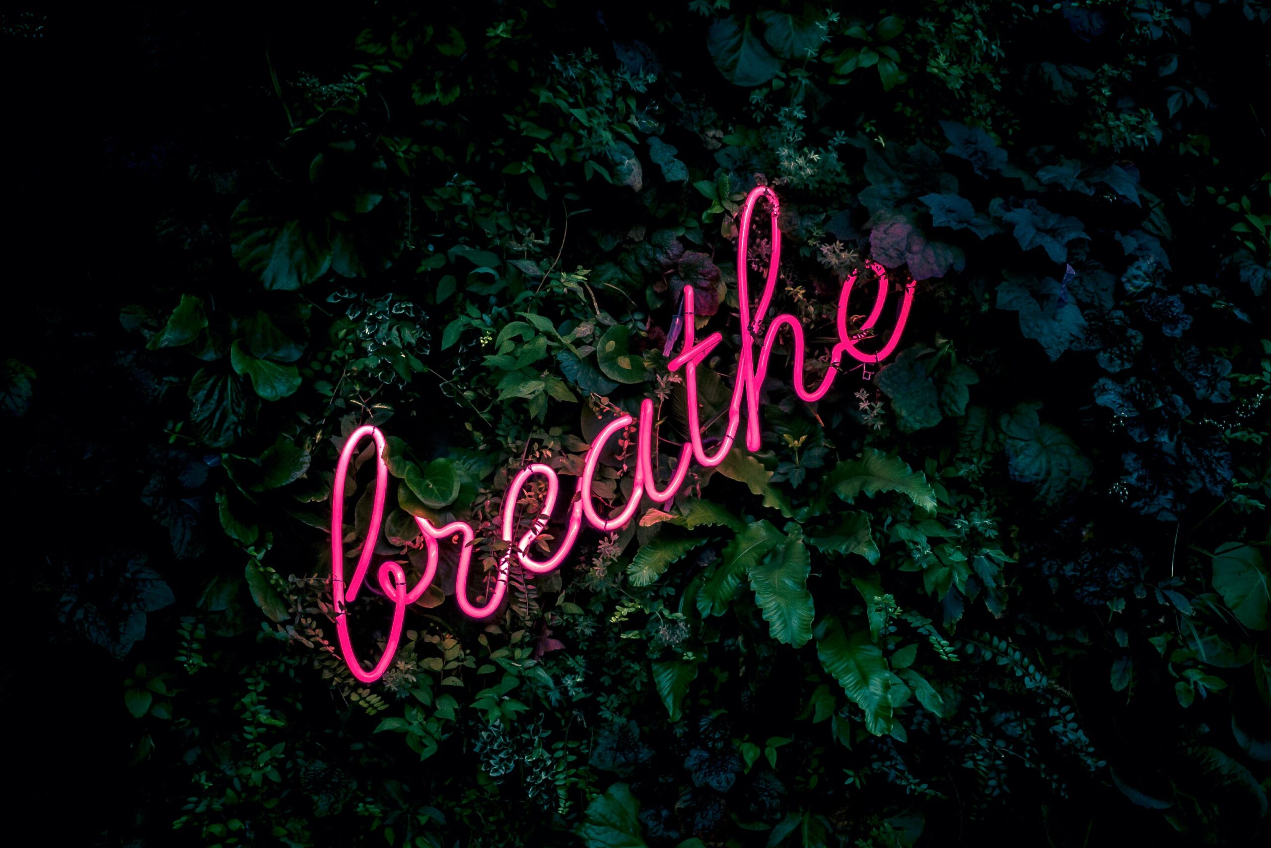 A pink neon sign that says "breathe"