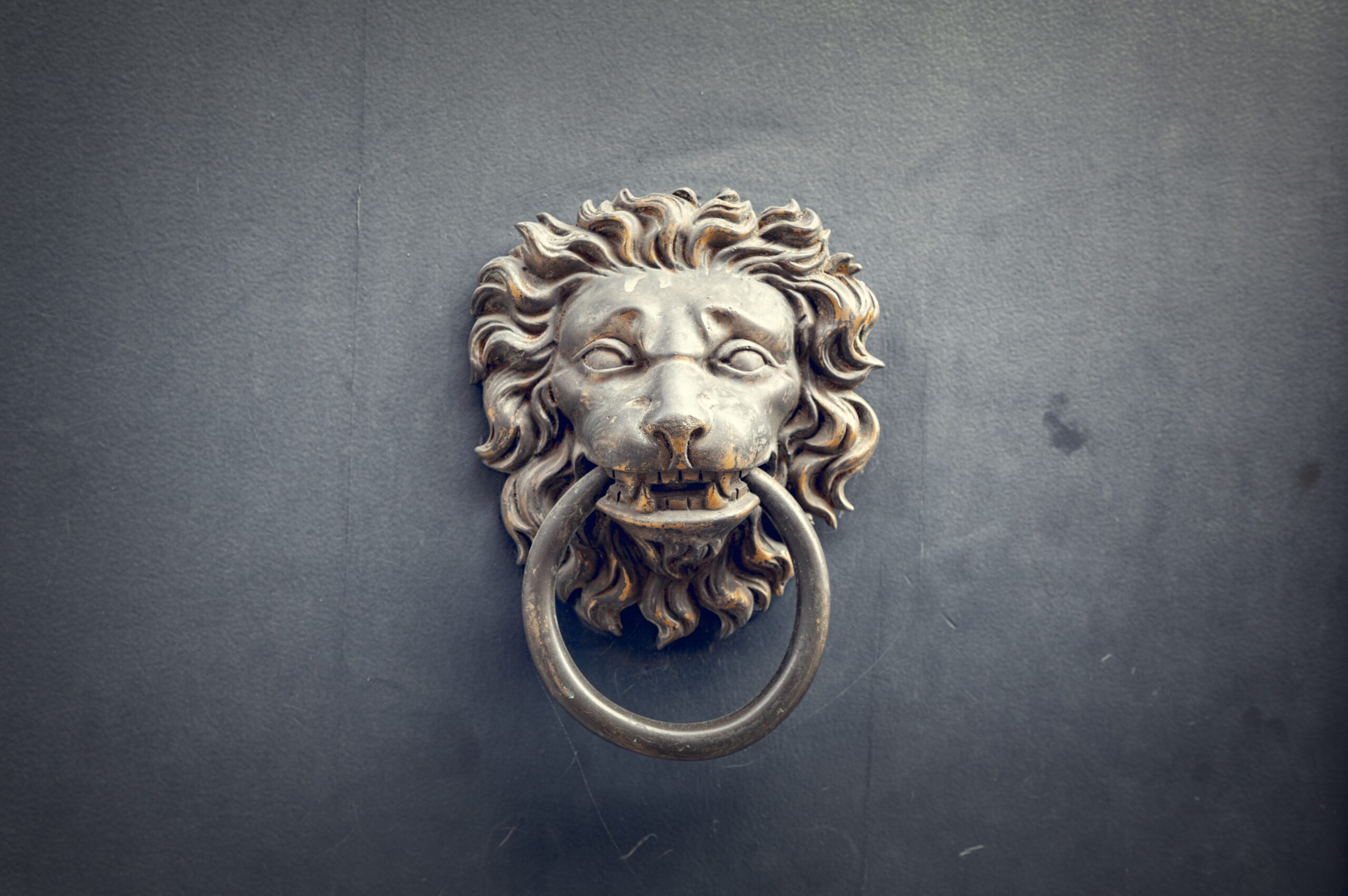 A lion's head door knocker attached to a front door