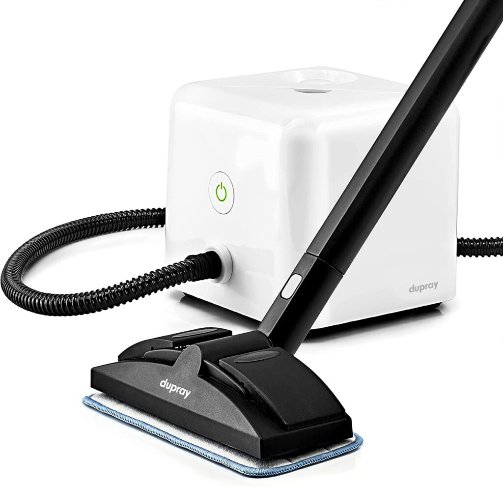Dupray Neat Steamer for getting rid of bed bugs