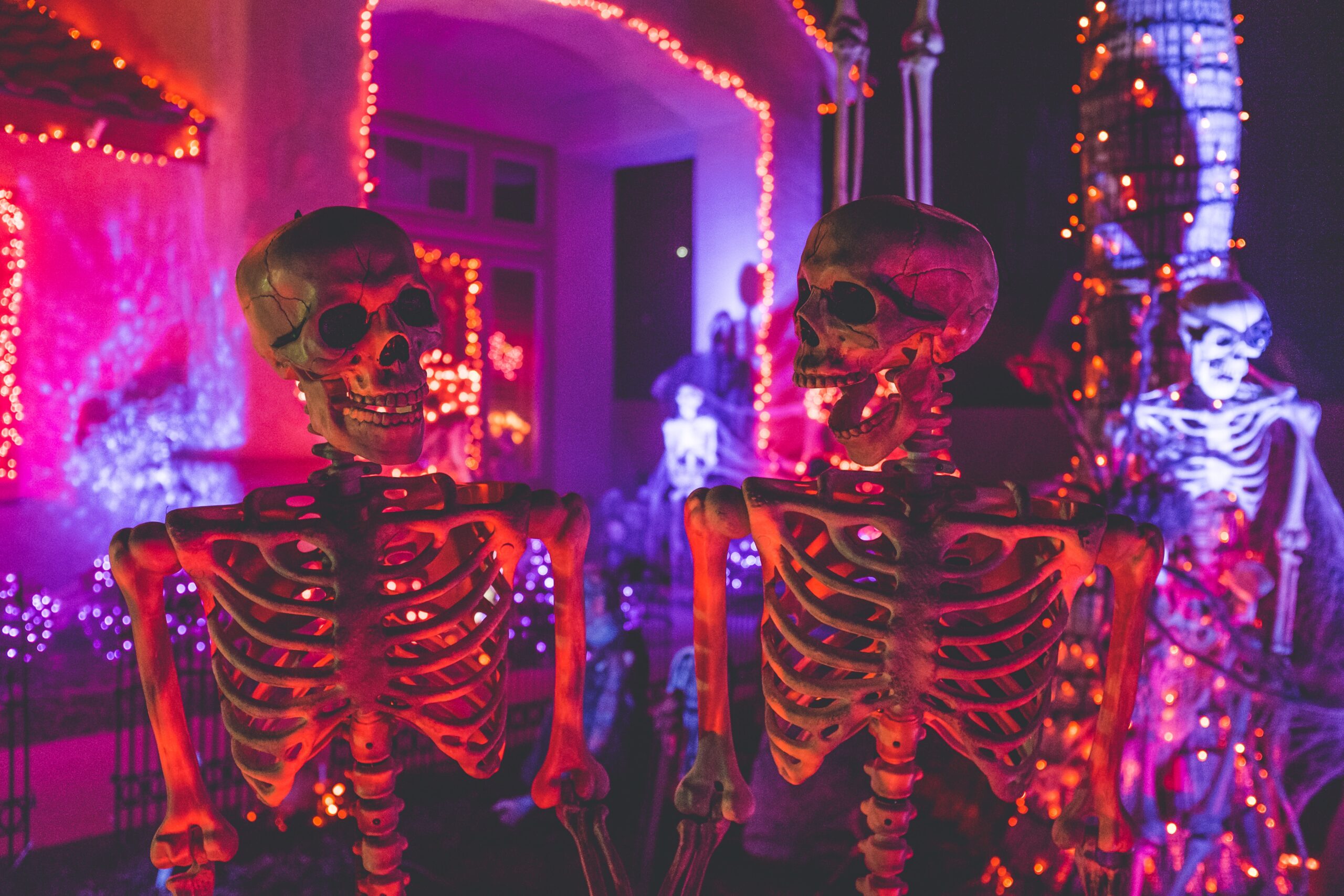 Create a bold Halloween aesthetic. Pictured: Skeleton decorations.