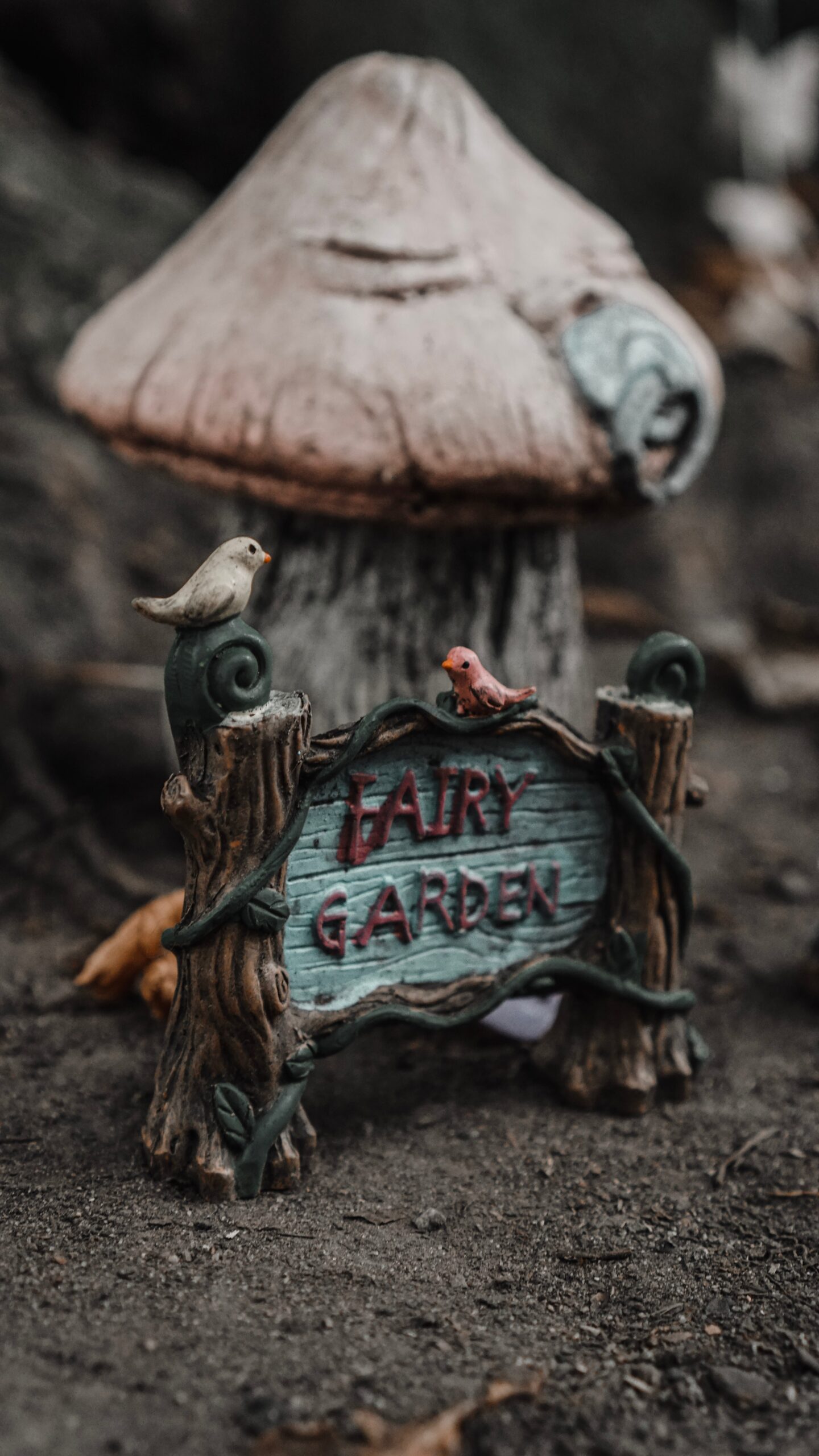 Fairy garden | 
