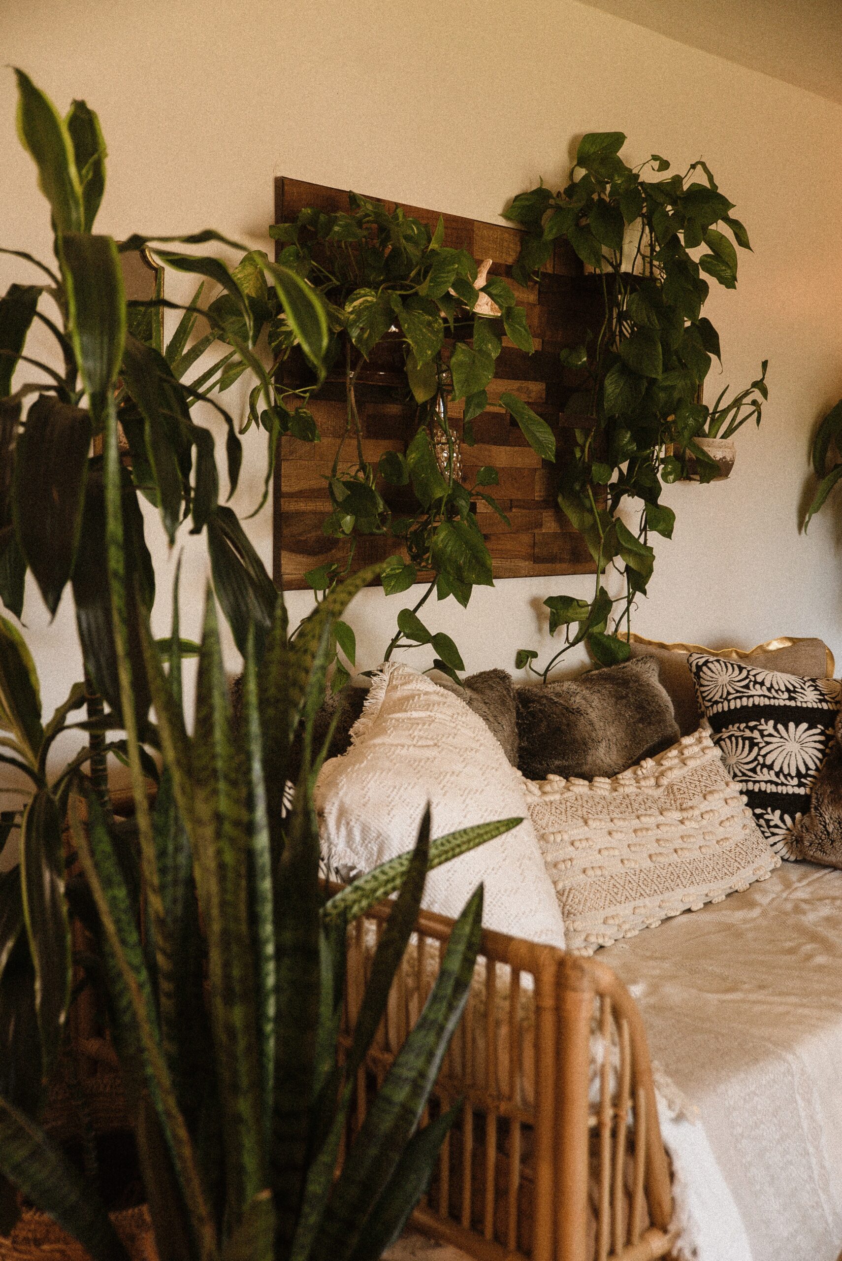 Plants surrounding living room furniture