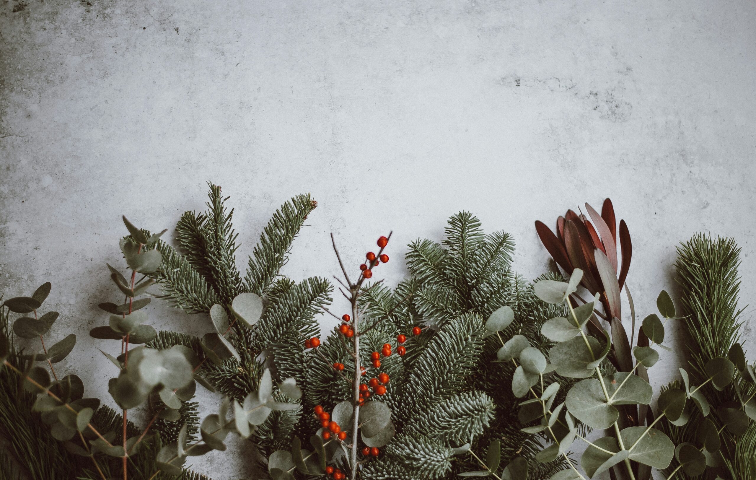 A group of different kinds of greenery for a holiday wreath