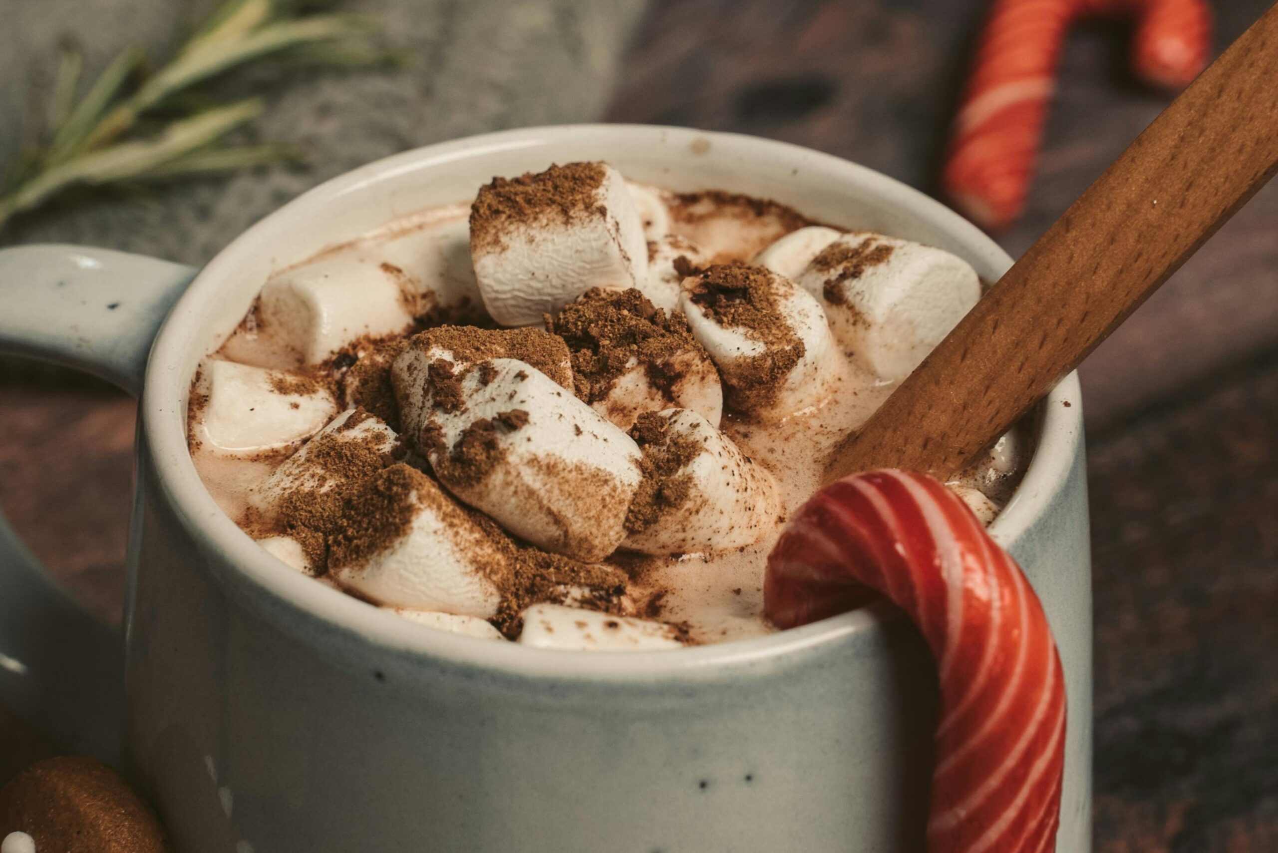 A closeup of a mug filled with hot chocolate