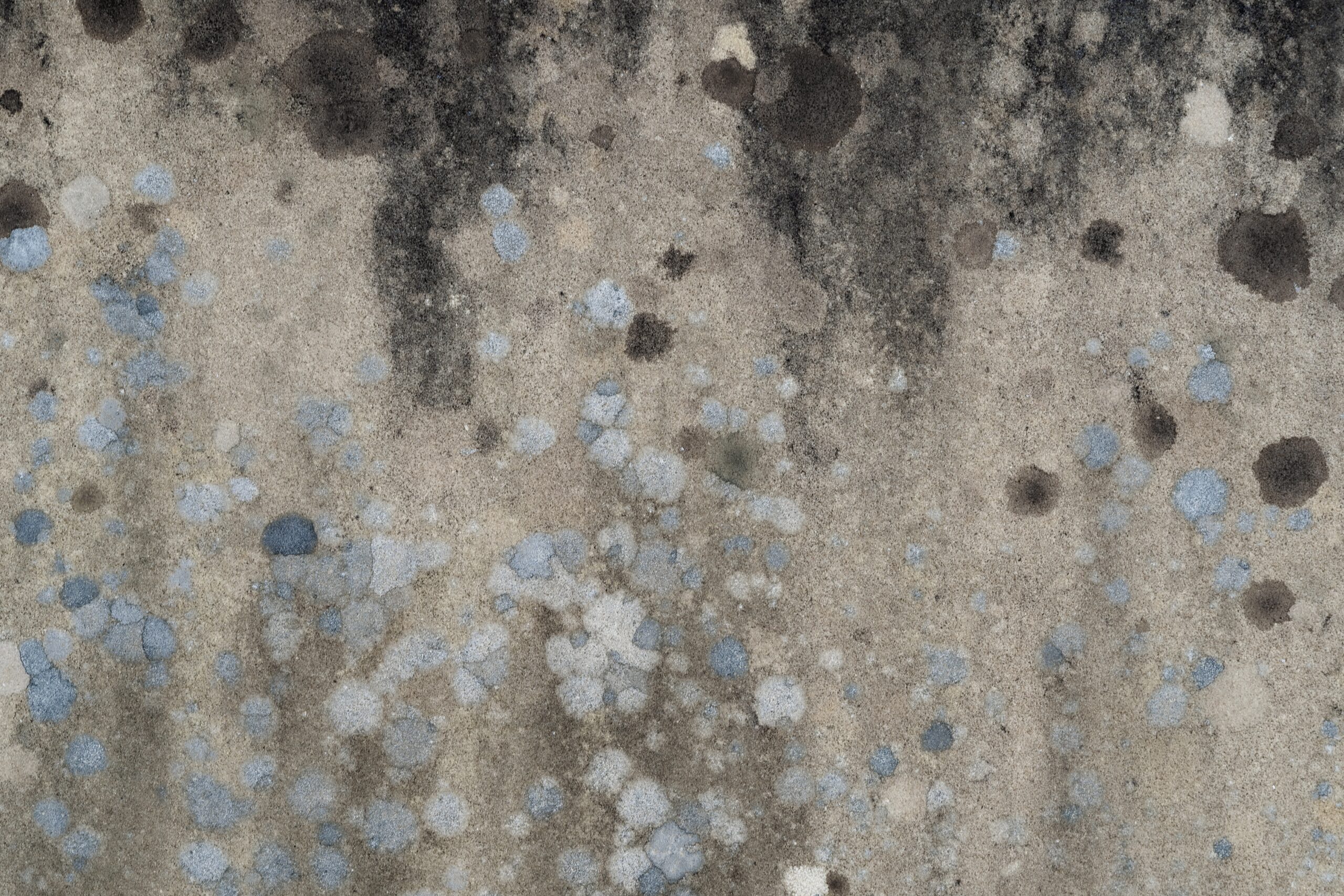 Mold toxicity and exposure is a common household problem now, and no matter how clean your house is, it can still take over small and forgotten areas. Pictured: Mold on a granite wall.