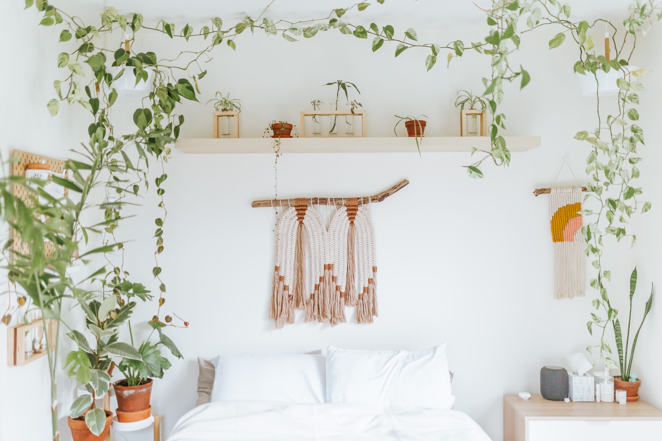 Plants are one of the most important decor pieces for a boho aesthetic. Pictured: A bedroom with plants.