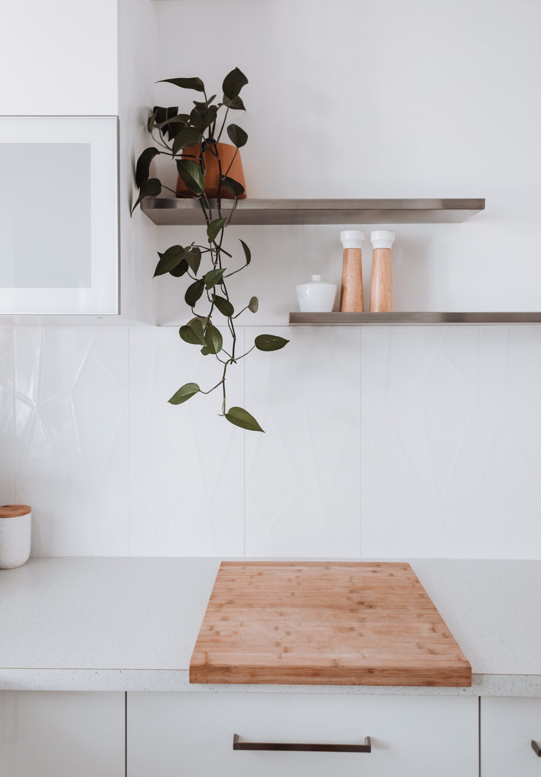 Small kitchen with plant