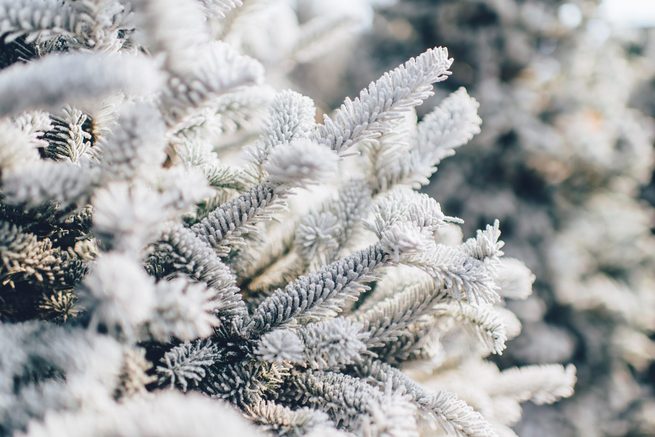Create a Winter Wonderland with a snow Christmas tree theme. Pictured: A snowy Christmas tree.