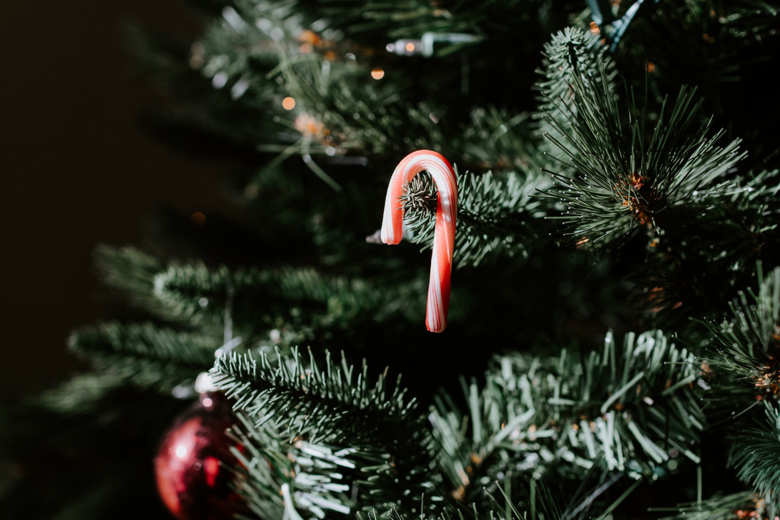 Satisfy your sweet tooth craving by creating a candy and sweets-themed Christmas tree. Use candy canes, candy ornaments and gingerbread and cookie decorations for this theme. Pictured: A candy cane hanging from a Christmas tree.