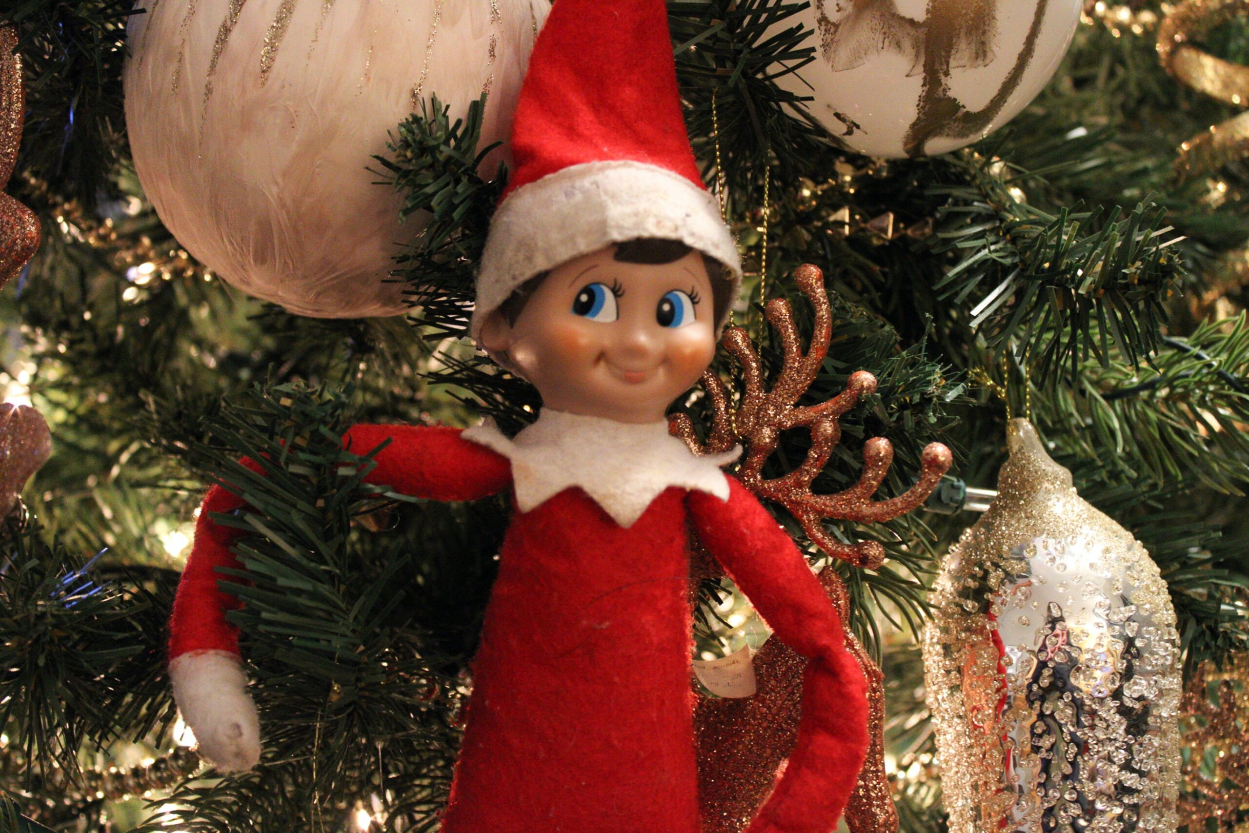 These mischievous little elves have taken over your Christmas tree. Create an Elf on the Shelf Christmas tree theme by letting these little guys wander and roam your tree. Have the kids find them using clues on Christmas day for a fun activity. Pictured: An elf on the shelf in a Christmas tree.
