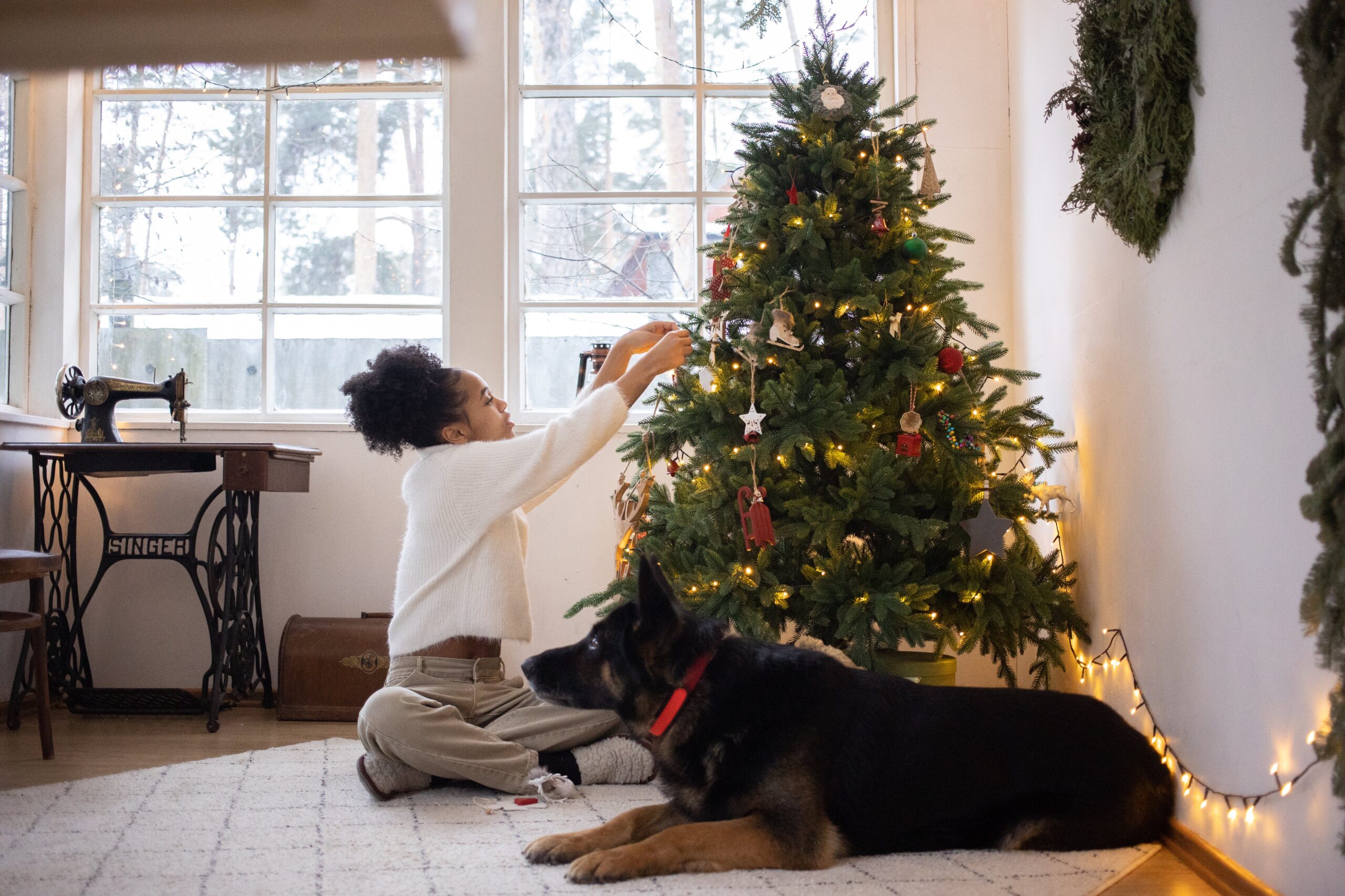holiday decor with pets