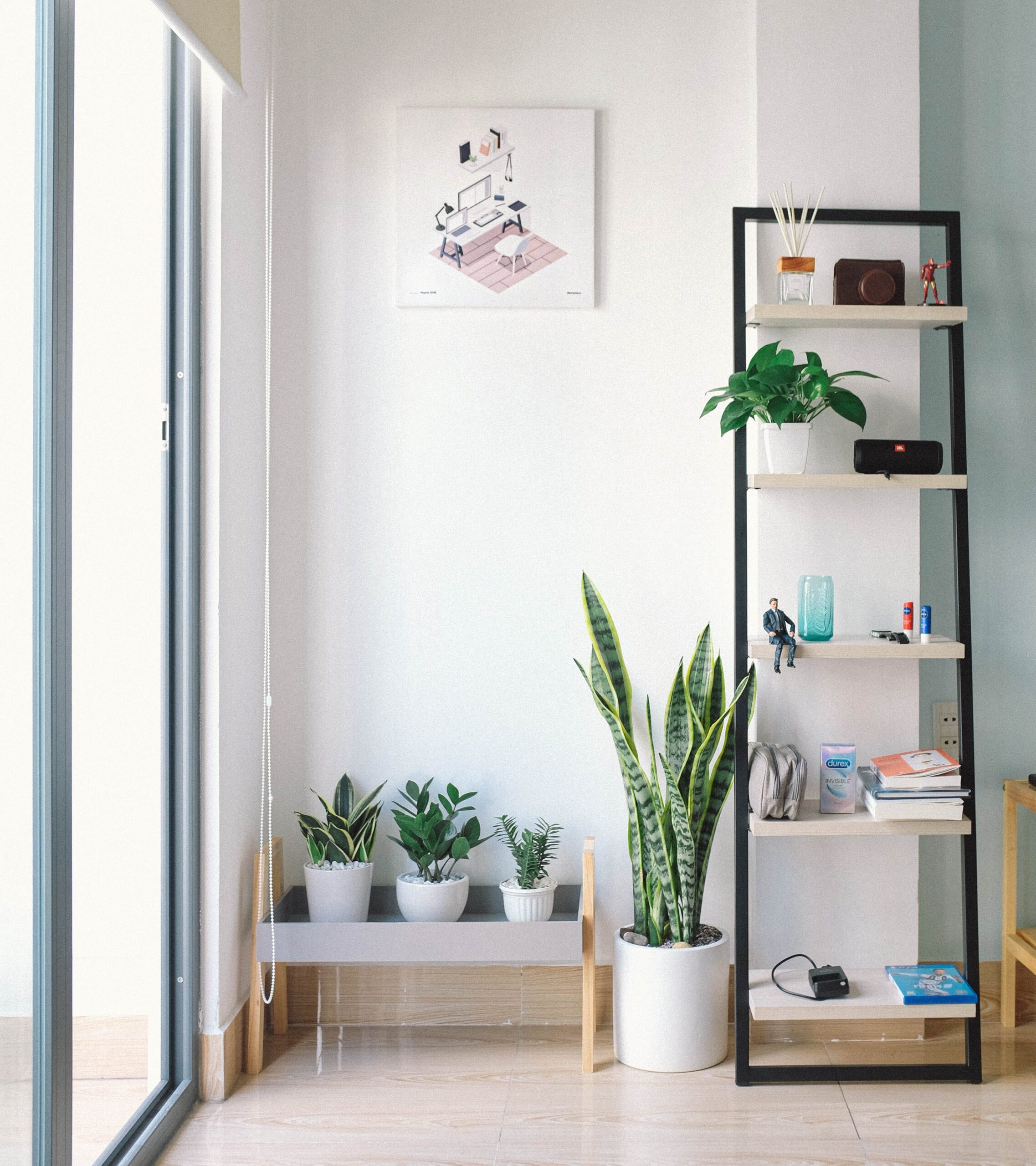 Plants on and near shelves