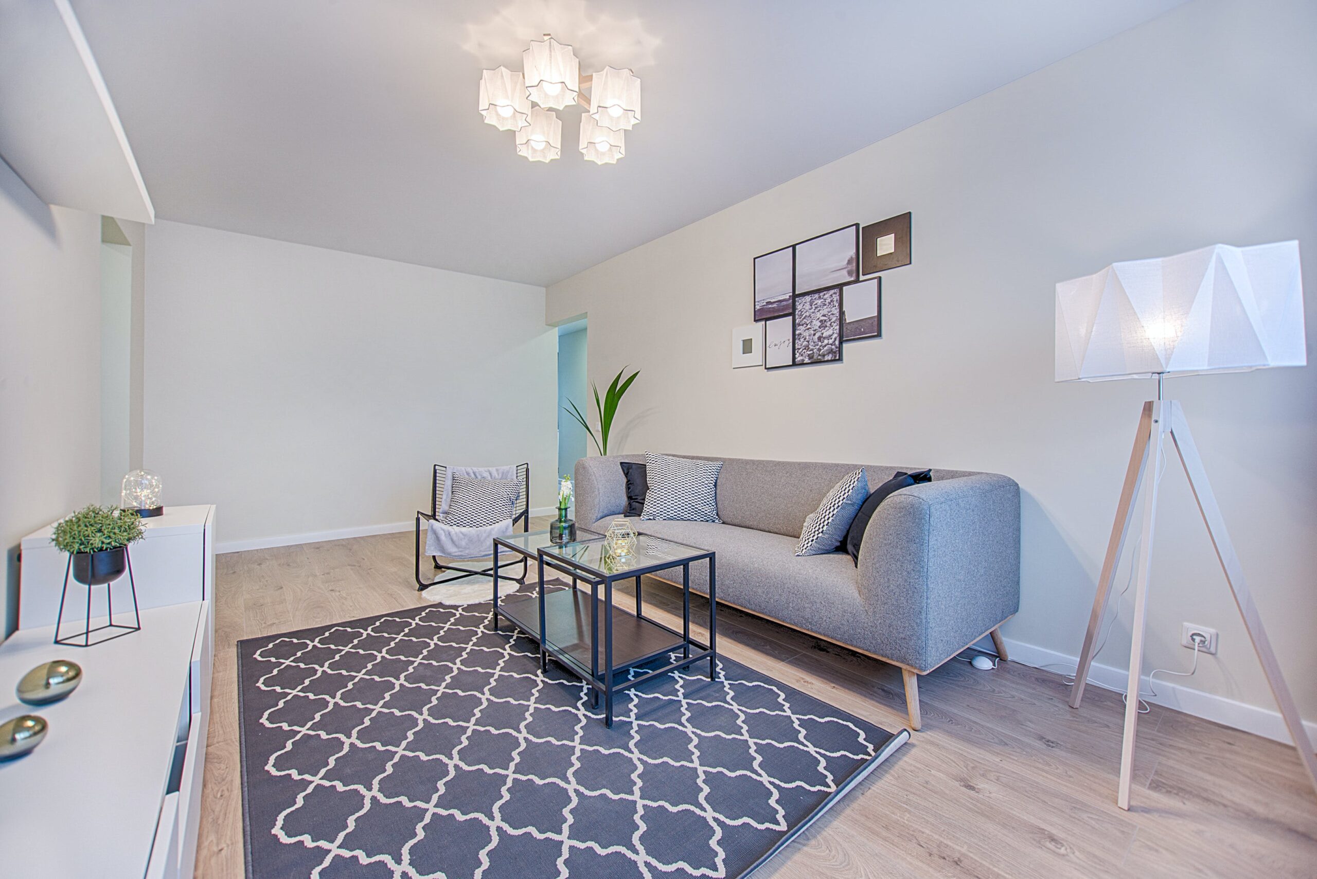 Living room with grey rug