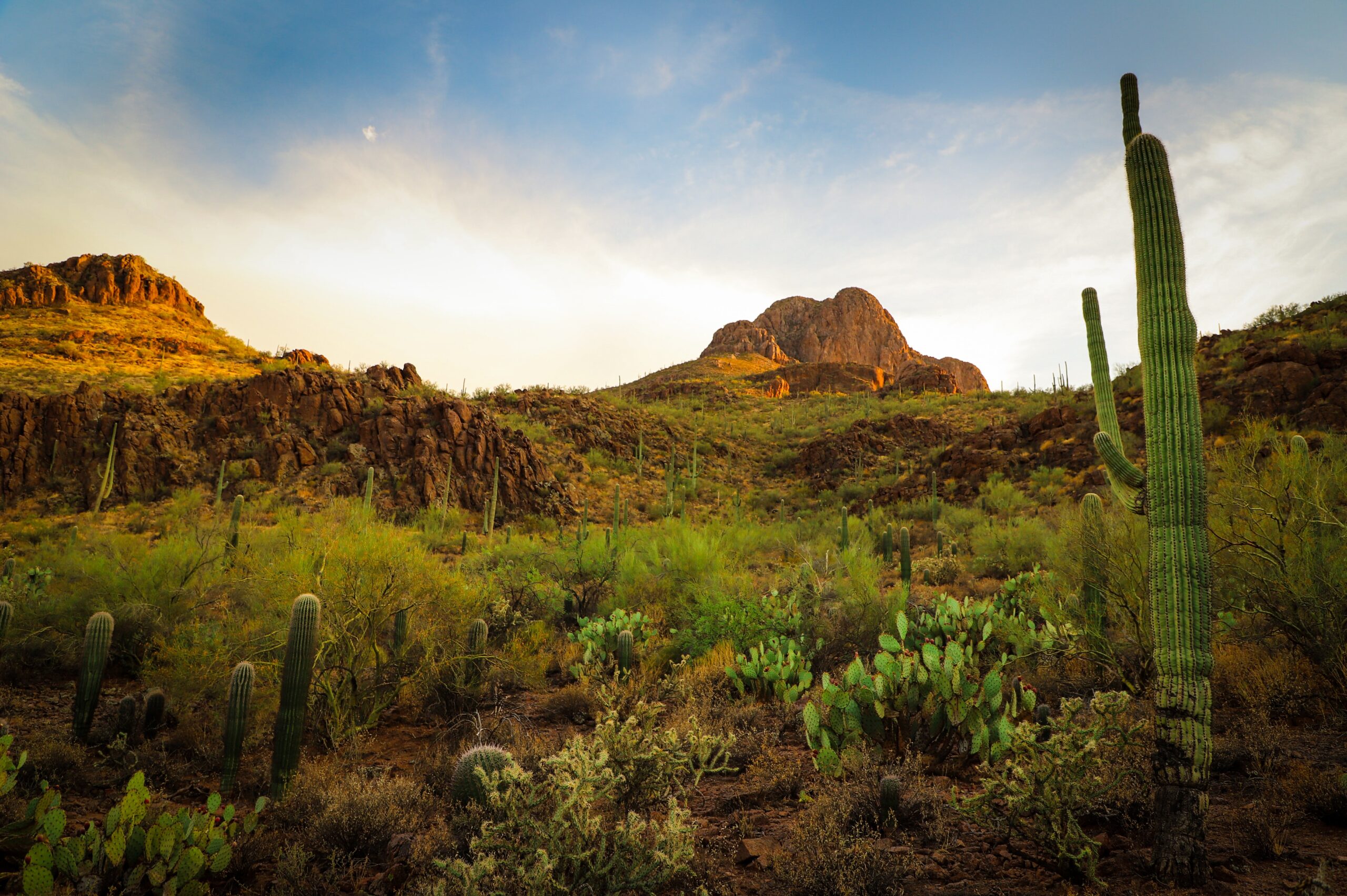 Tucson is one of the best places to live in Arizona for hiking and mountain views. Pictured: Tucson, Arizona