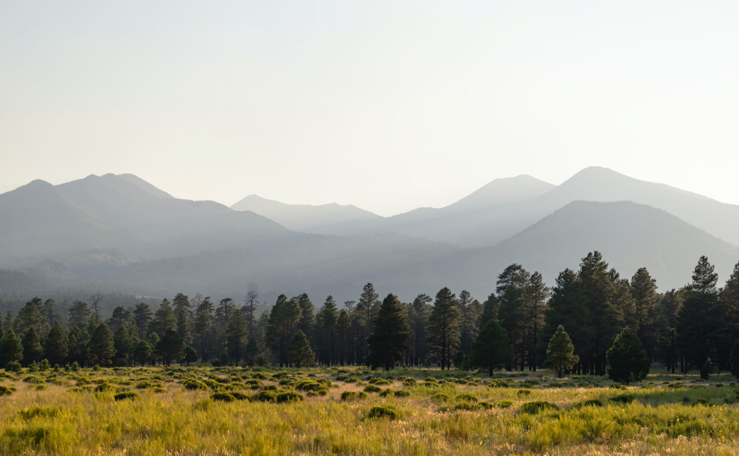 Flagstaff is one of the best places in Arizona to live for those who love hiking and want to live near the Grand Canyon. Pictured: Mountain views in Flagstaff, Arizona