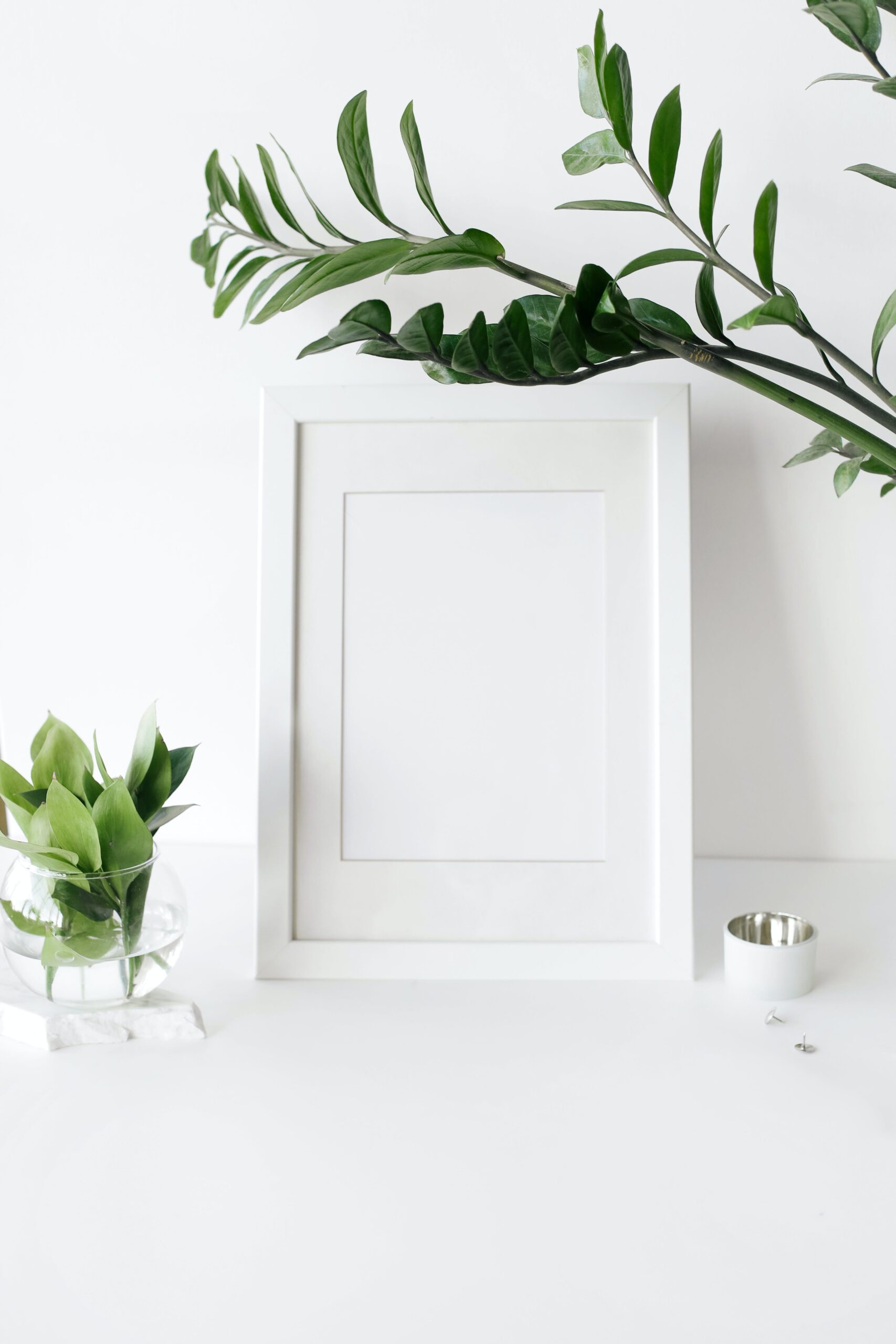Plants by white frame 