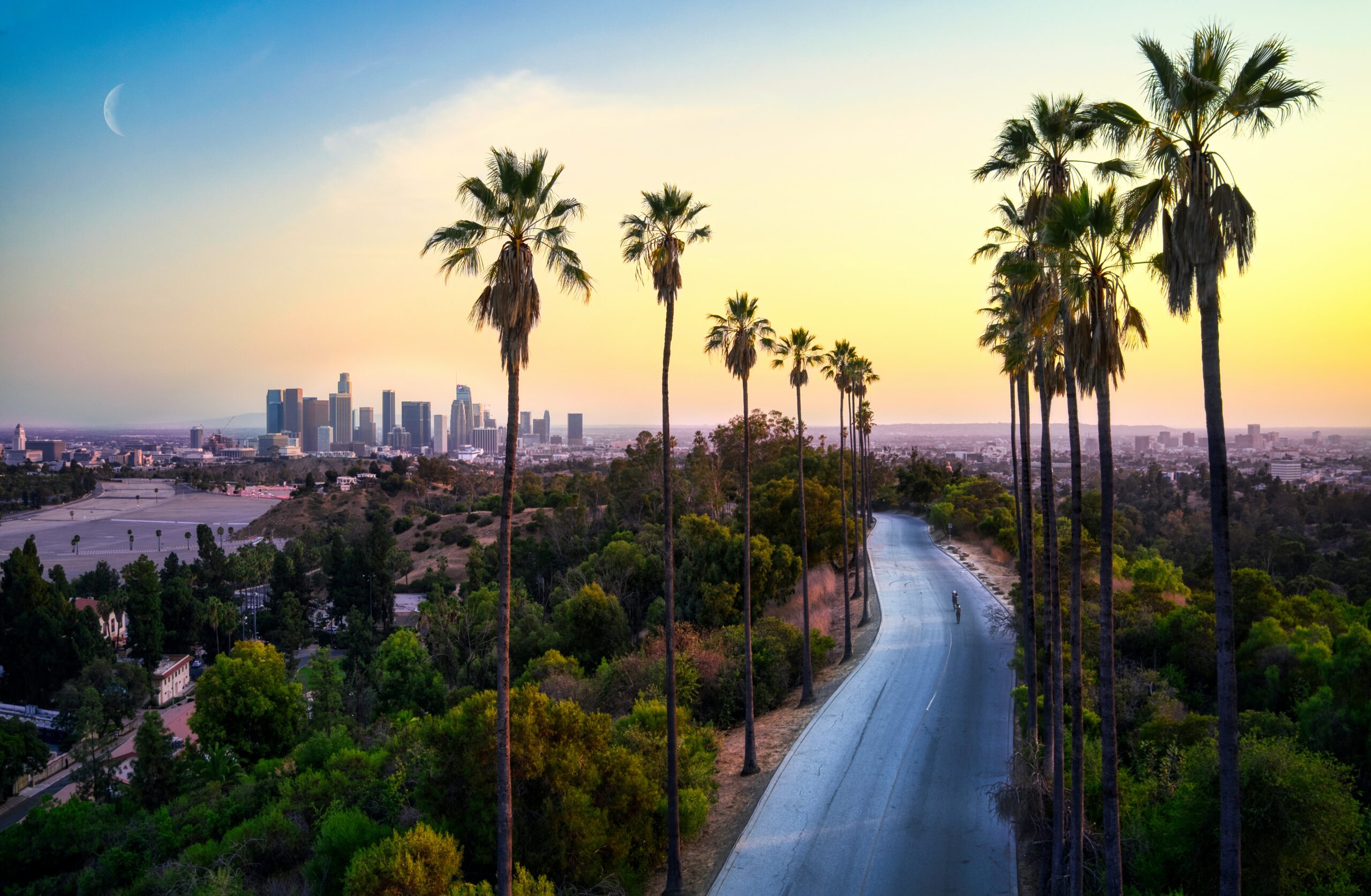 Known for Palm trees, beautiful beaches and pop culture, Los Angeles is also one of the most expensive cities to live in the U.S. Pictured: A few of palm trees in L.A. with the city behind it.