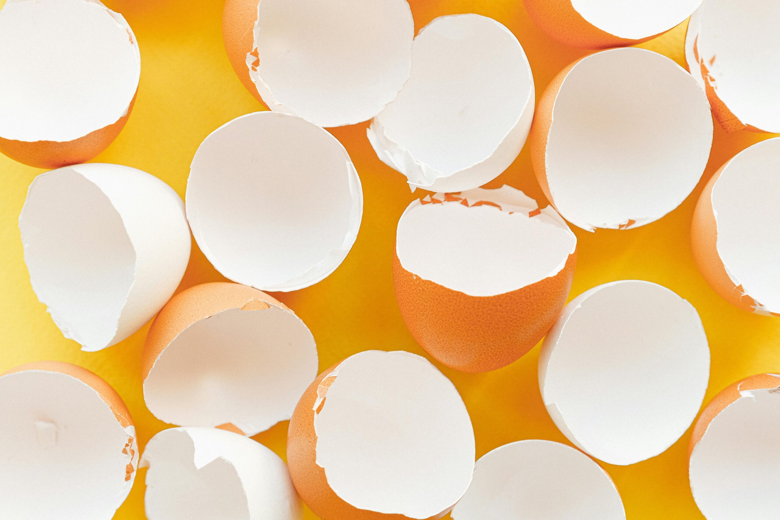 Cracked eggshells