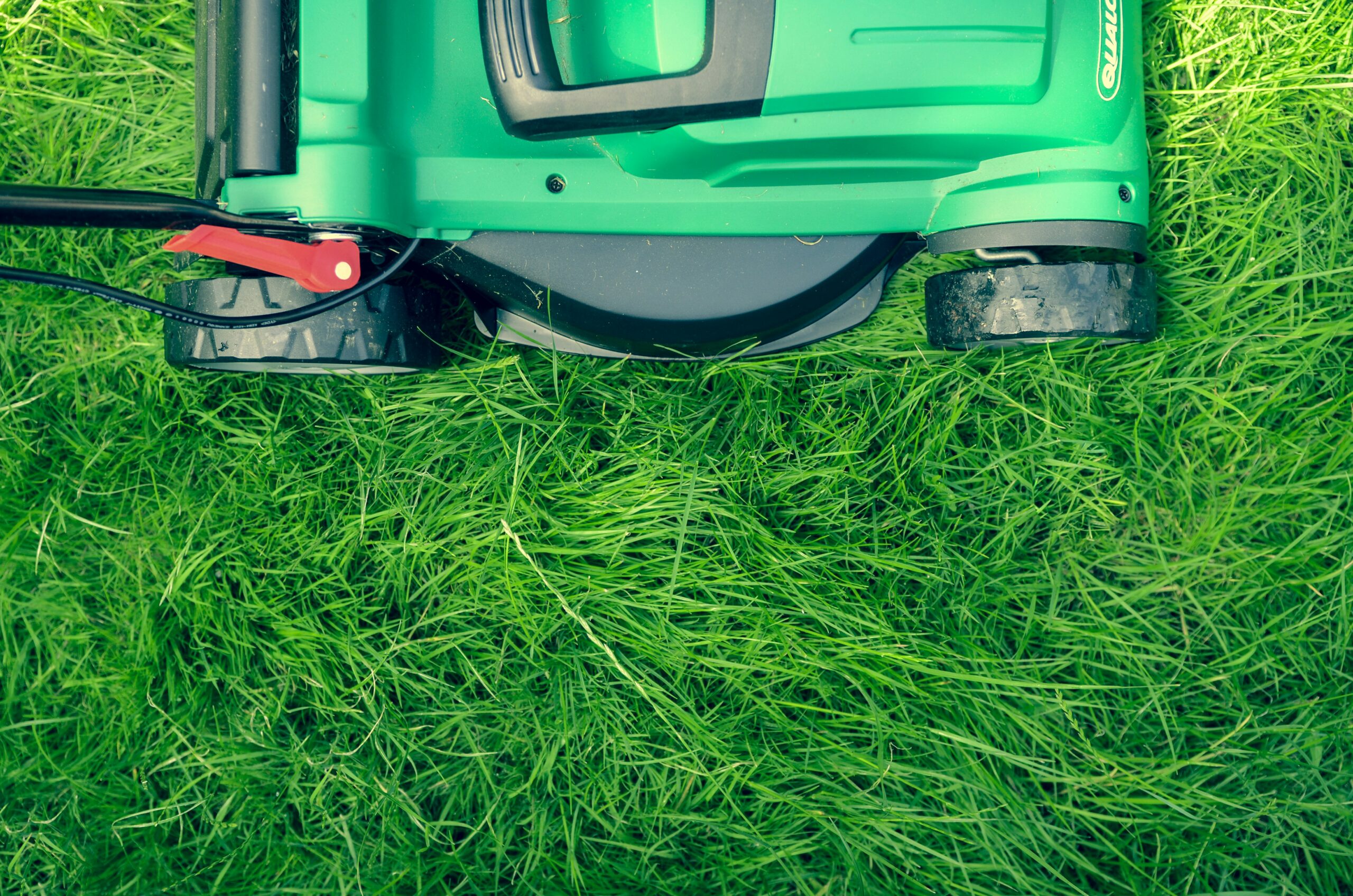 When dethatching a lawn, sometimes it's best to hire a professional. Pictured: A lawn being mown with a lawn mower