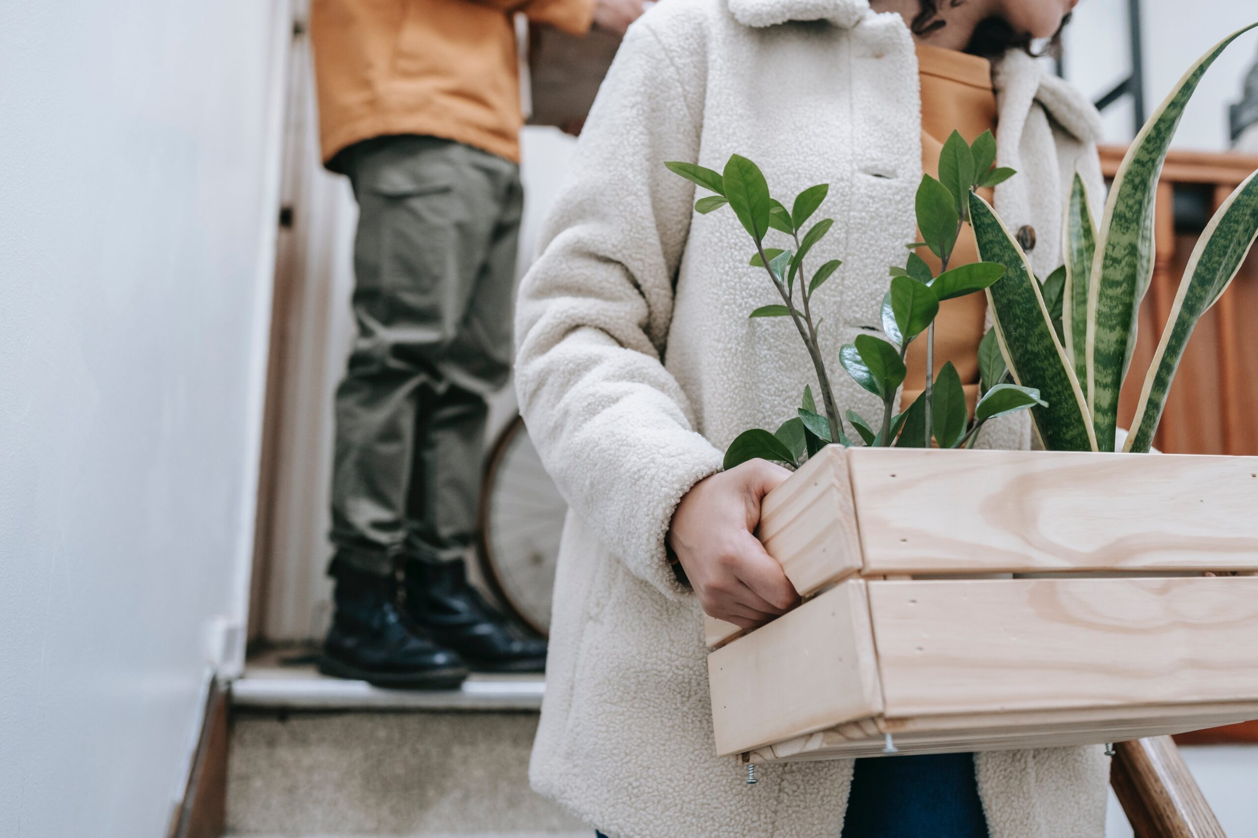 moving with plants