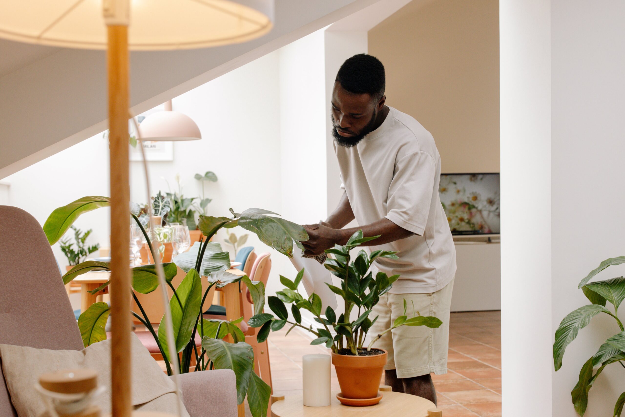 homeowner taking care of indoor plants