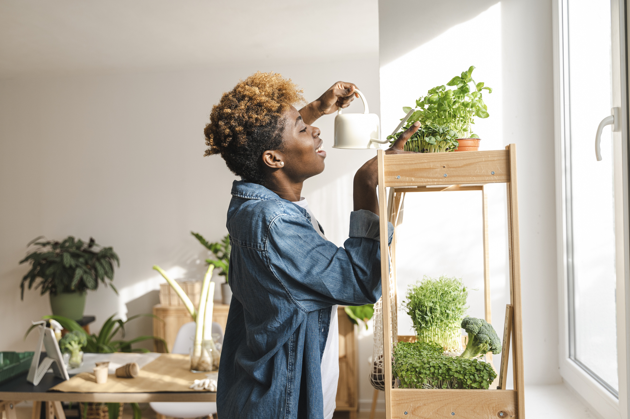 6 Easy Herbs You Can Grow on Your Windowsill - Home & Texture