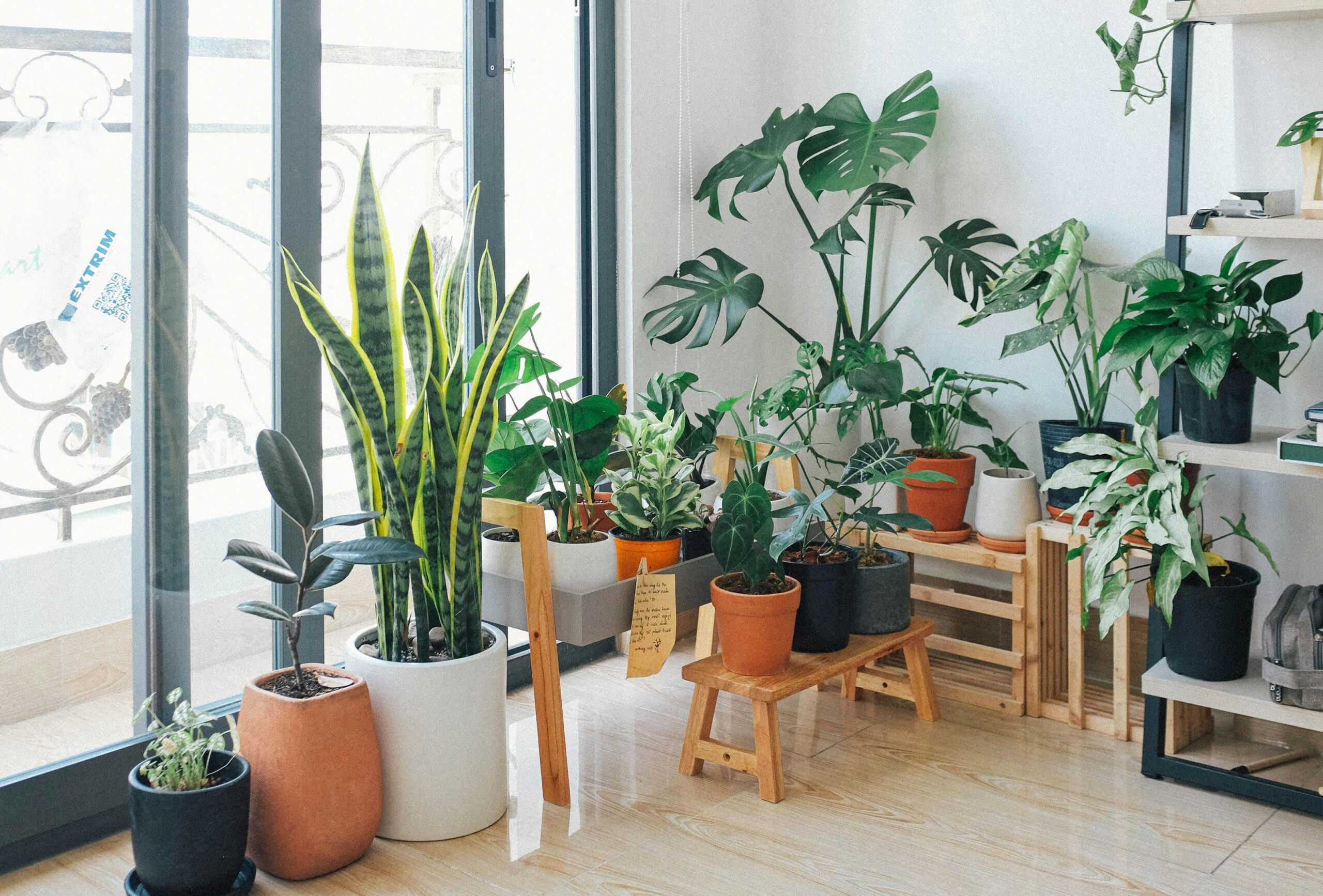Plants are the most important element to a biophilic design style. Pictured: A living room full of plants