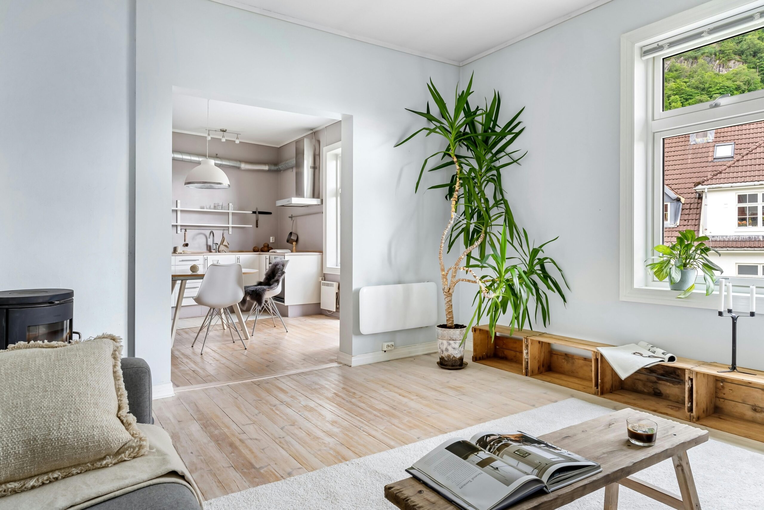 A living room with a houseplant