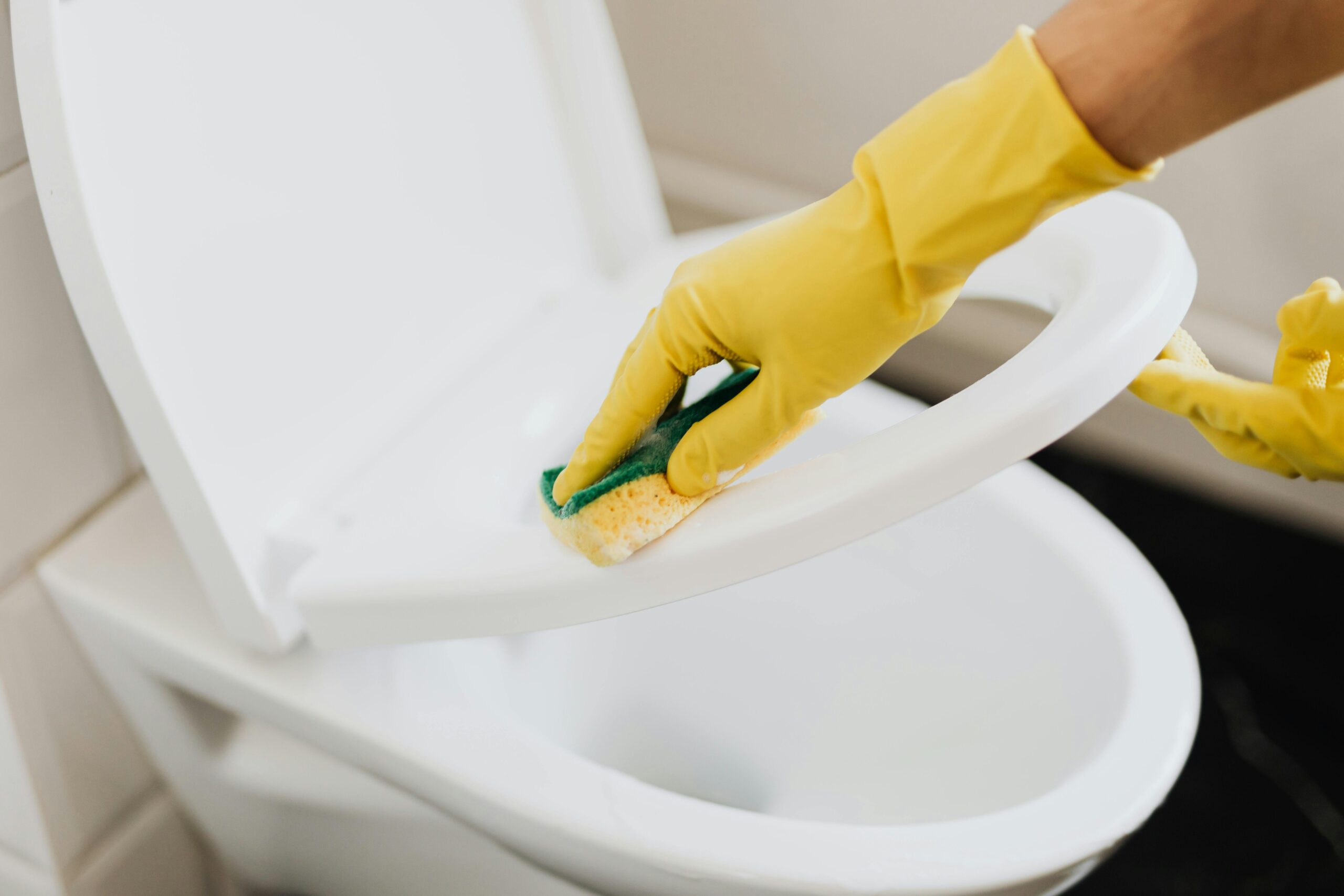 Gloved hands scrubbing a toilet seat