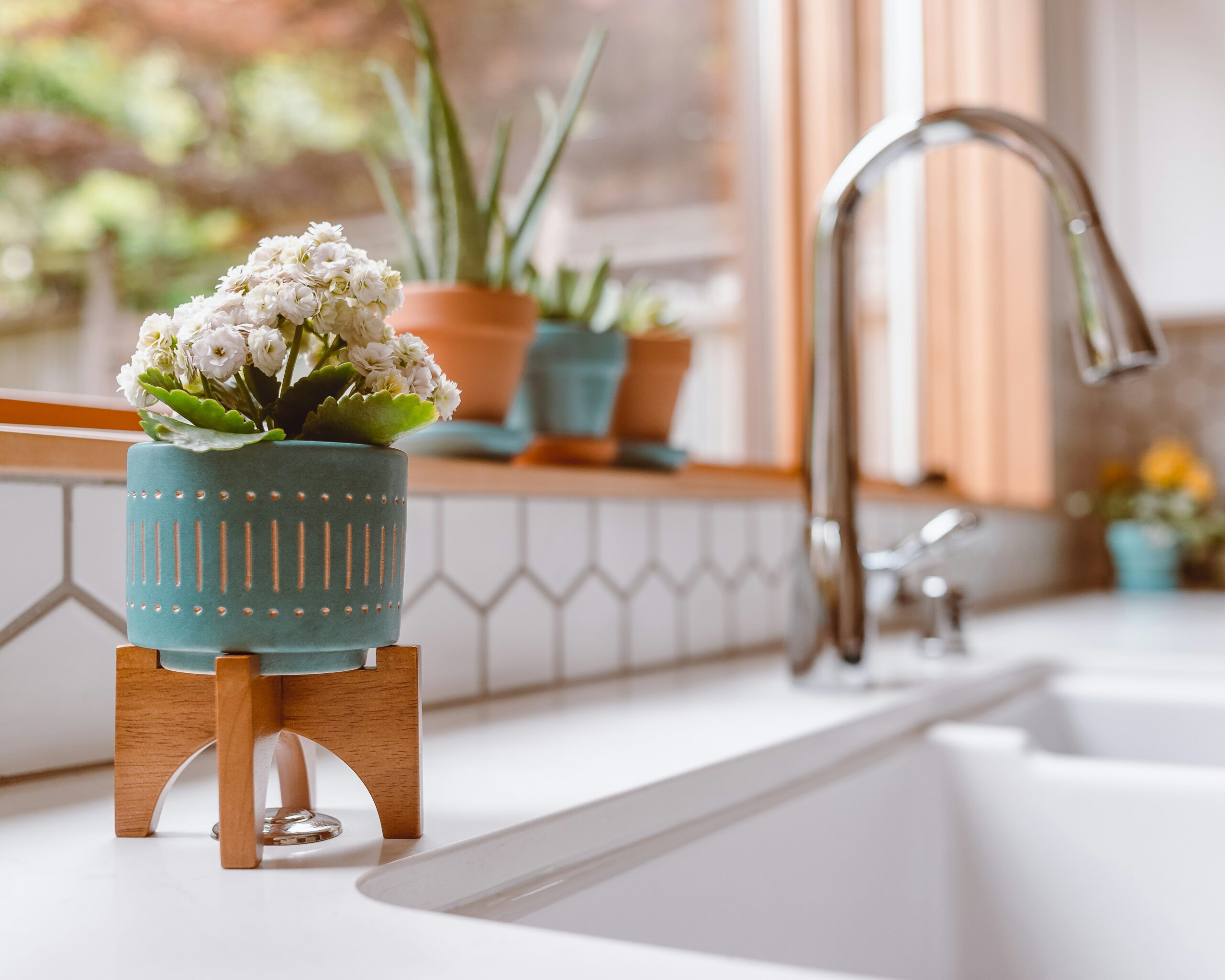 A closeup of a kitchen sink