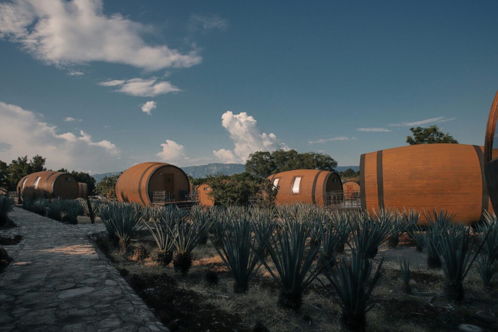 Best Sipping Tequila pictured: tequila aging barrels