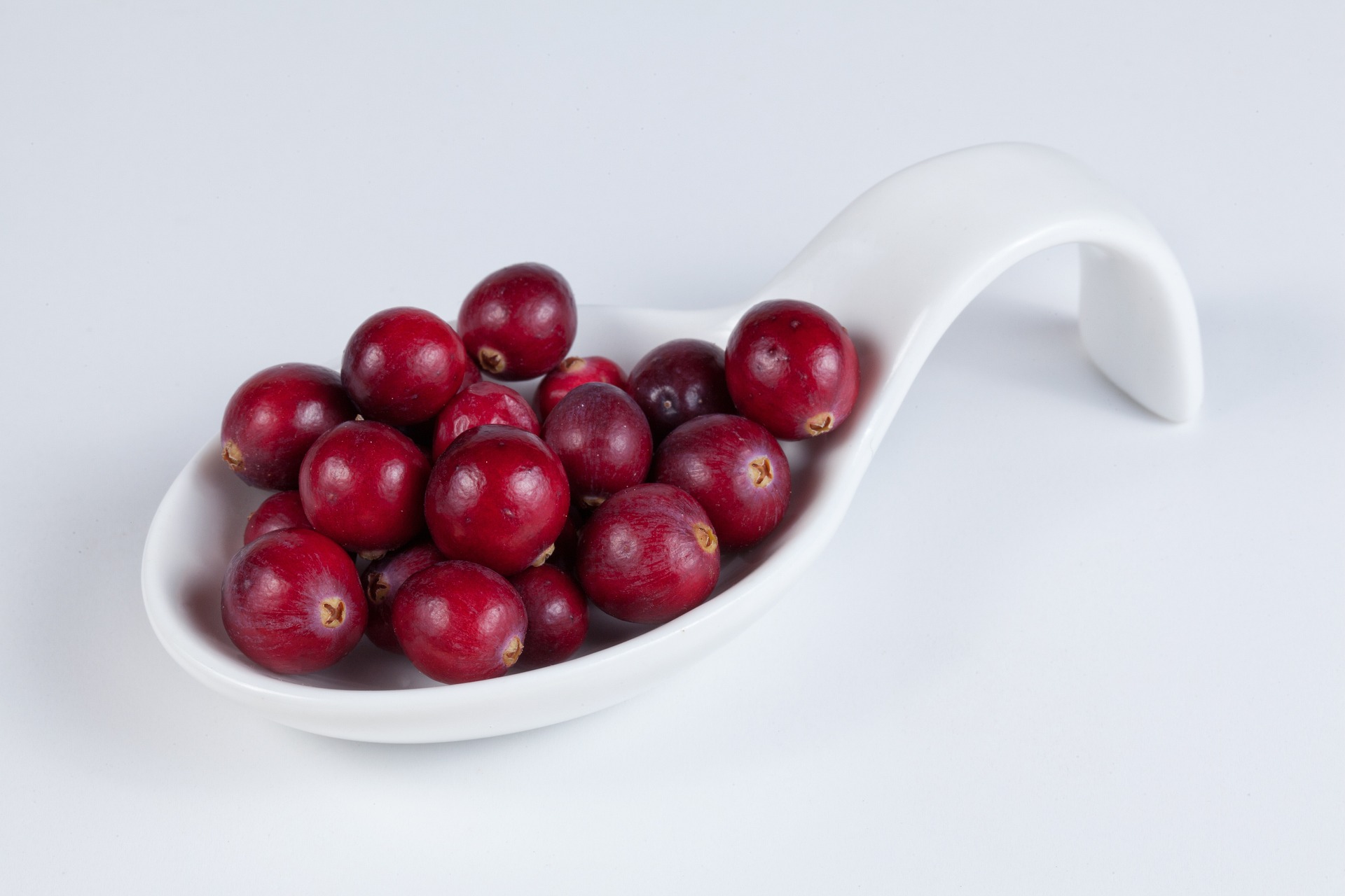 Image of fresh cranberries