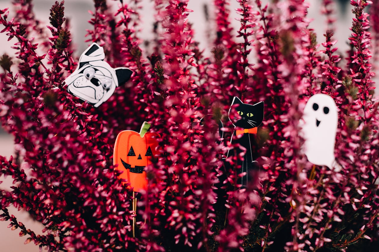 Halloween sticks hidden in large purple plant