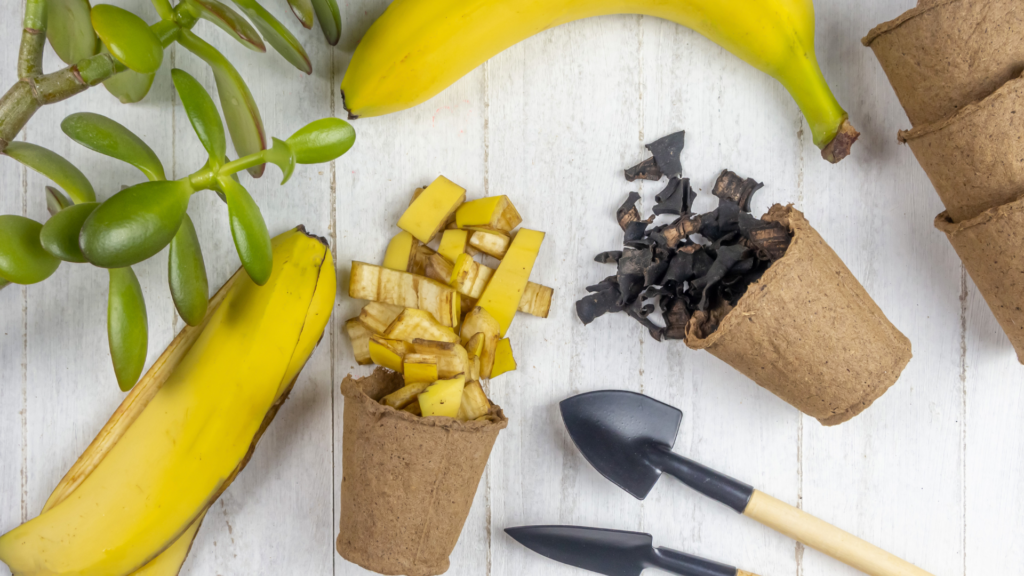 Banana Peels for Plants Natural Fertilizer and Pest Repellent