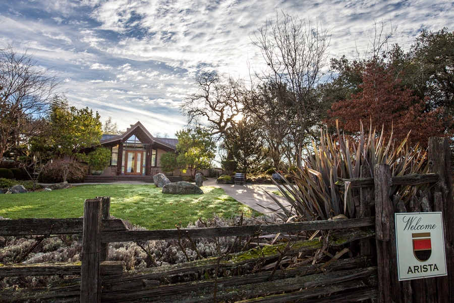 Arista Winery