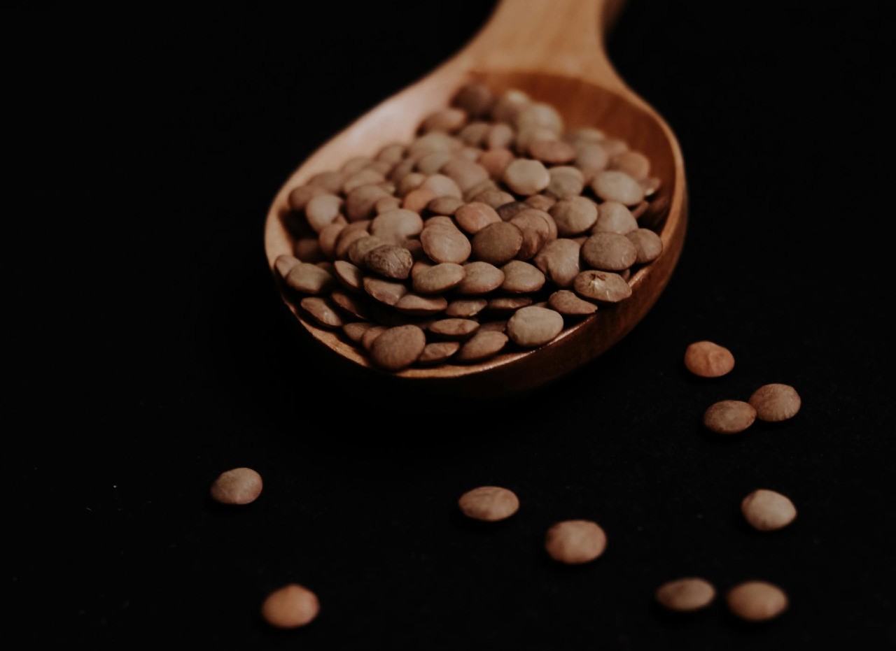 Brown lentils on a wooden spoon