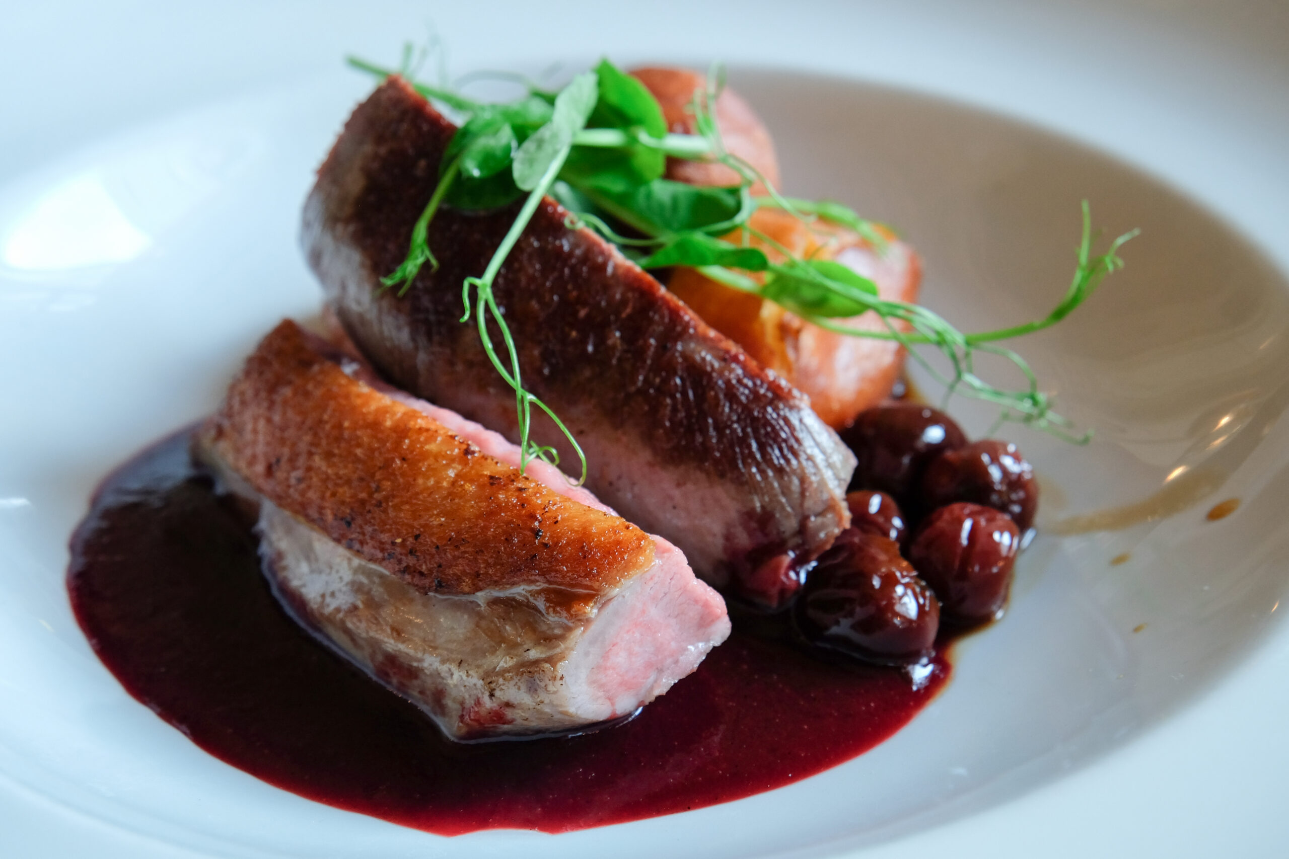 roasted duck with cherry sauce