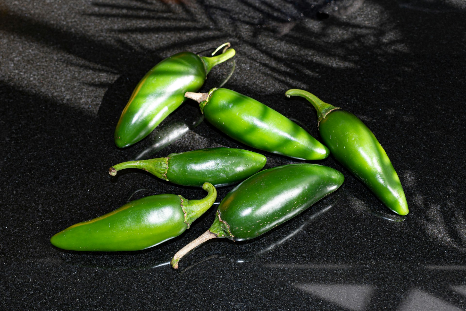 Jalapeño fruit on a gray background