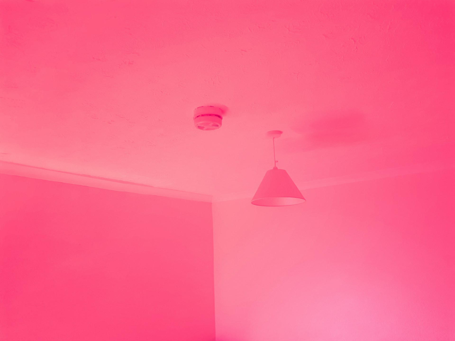 All pink room