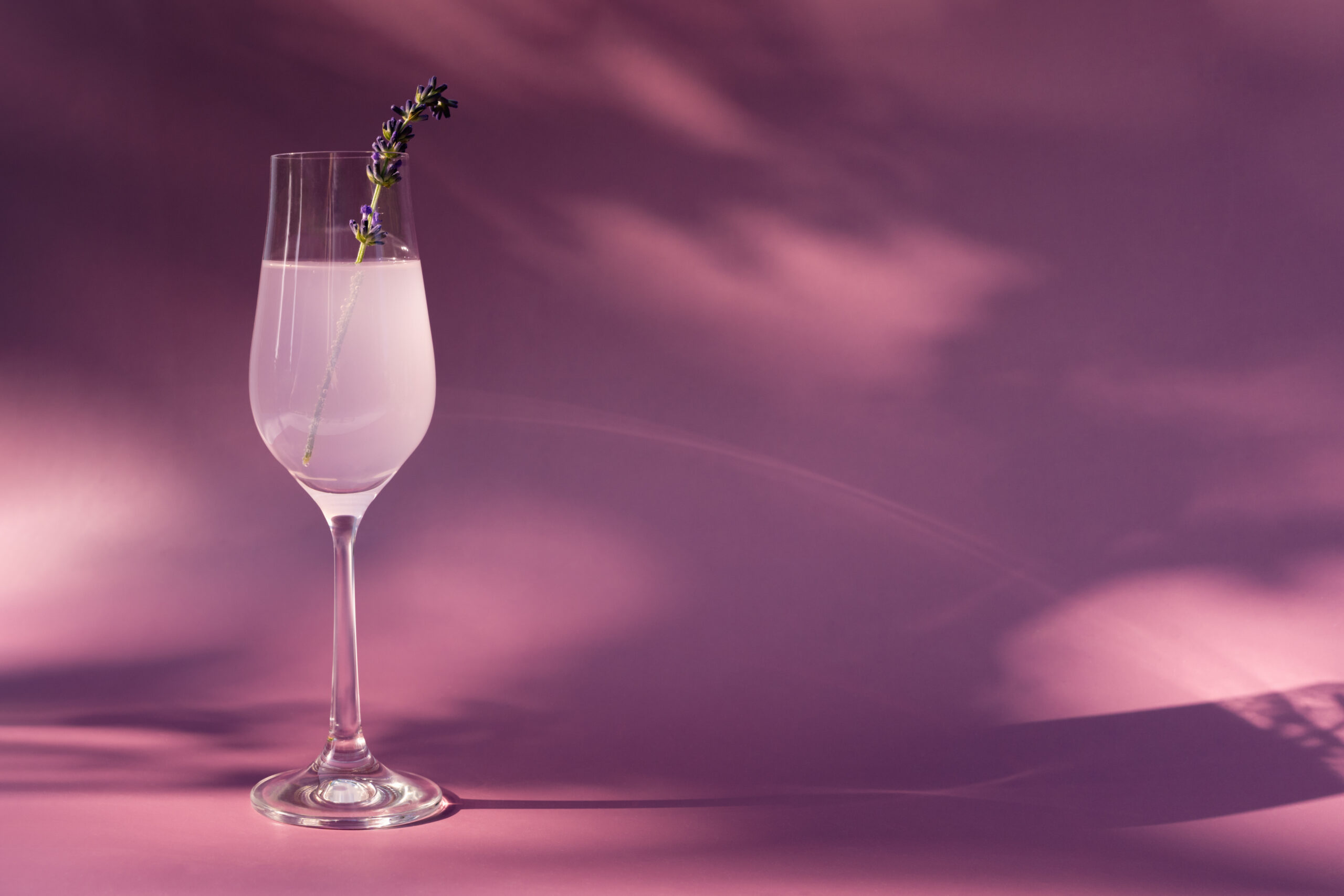 lavendar honey bellini