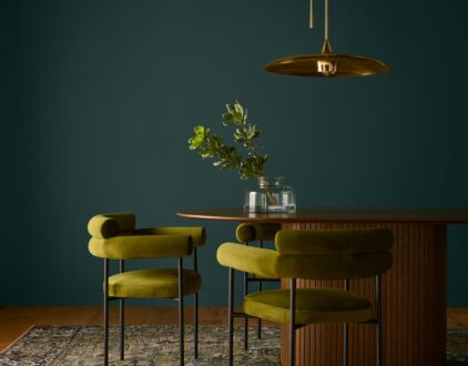 Behr 2026 Color of The Year